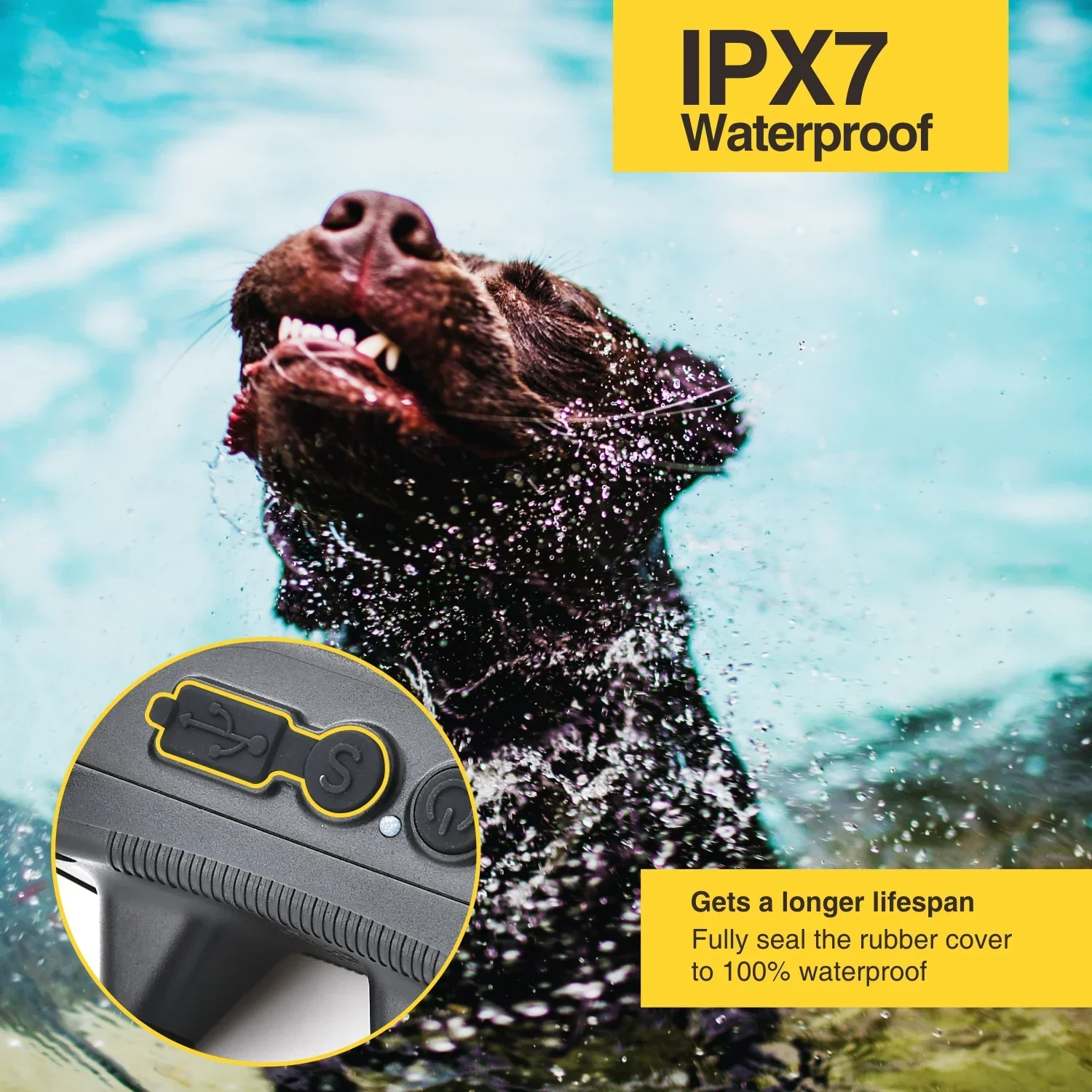 Dog Training Collar 800M Remote Waterproof Rechargeable No Bark Control Collar 2in1 - Image 5