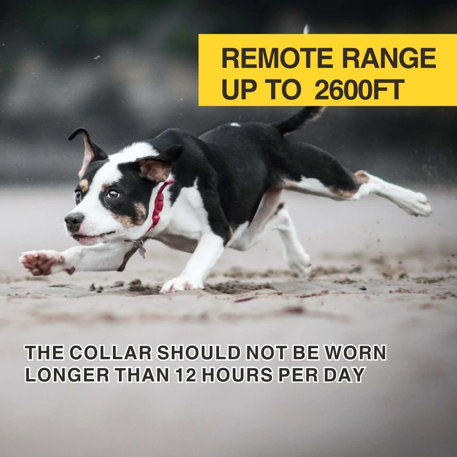 Dog Training Collar 800M Remote Waterproof Rechargeable No Bark Control Collar 2in1 - Image 6