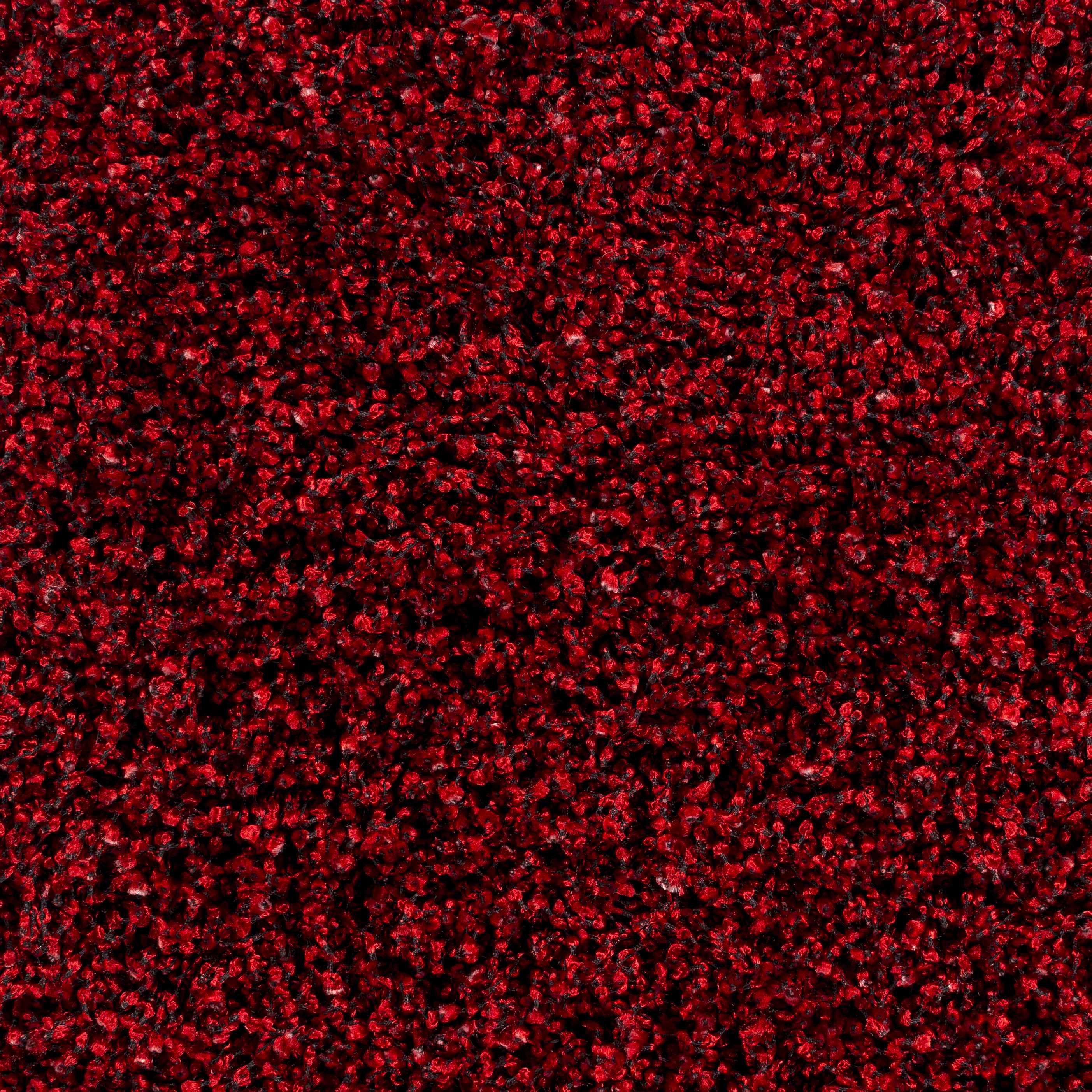 Dorsey Area Rug - Clearance - Image 5