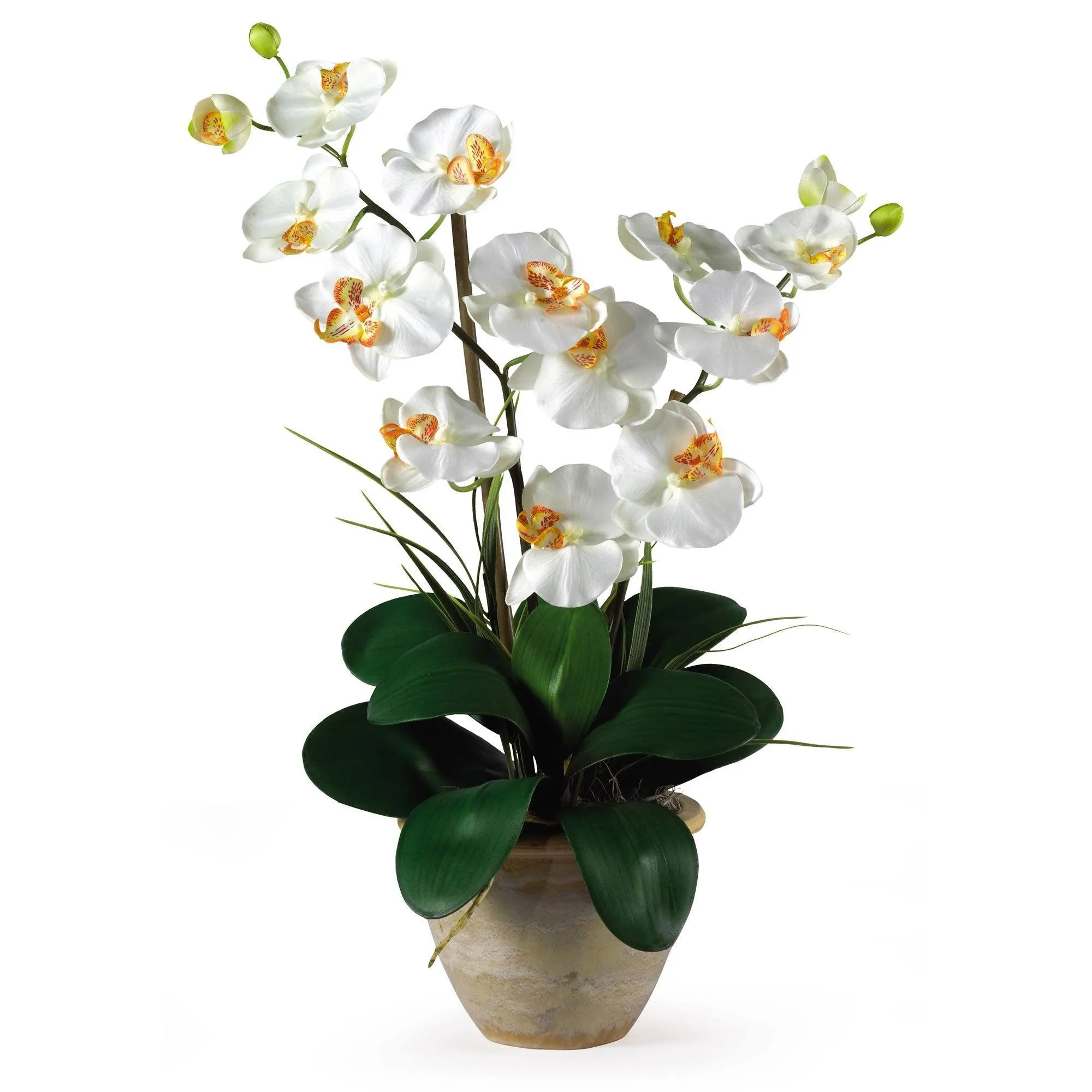 Double Stem Phalaenopsis Silk Orchid Arrangement - Image 2