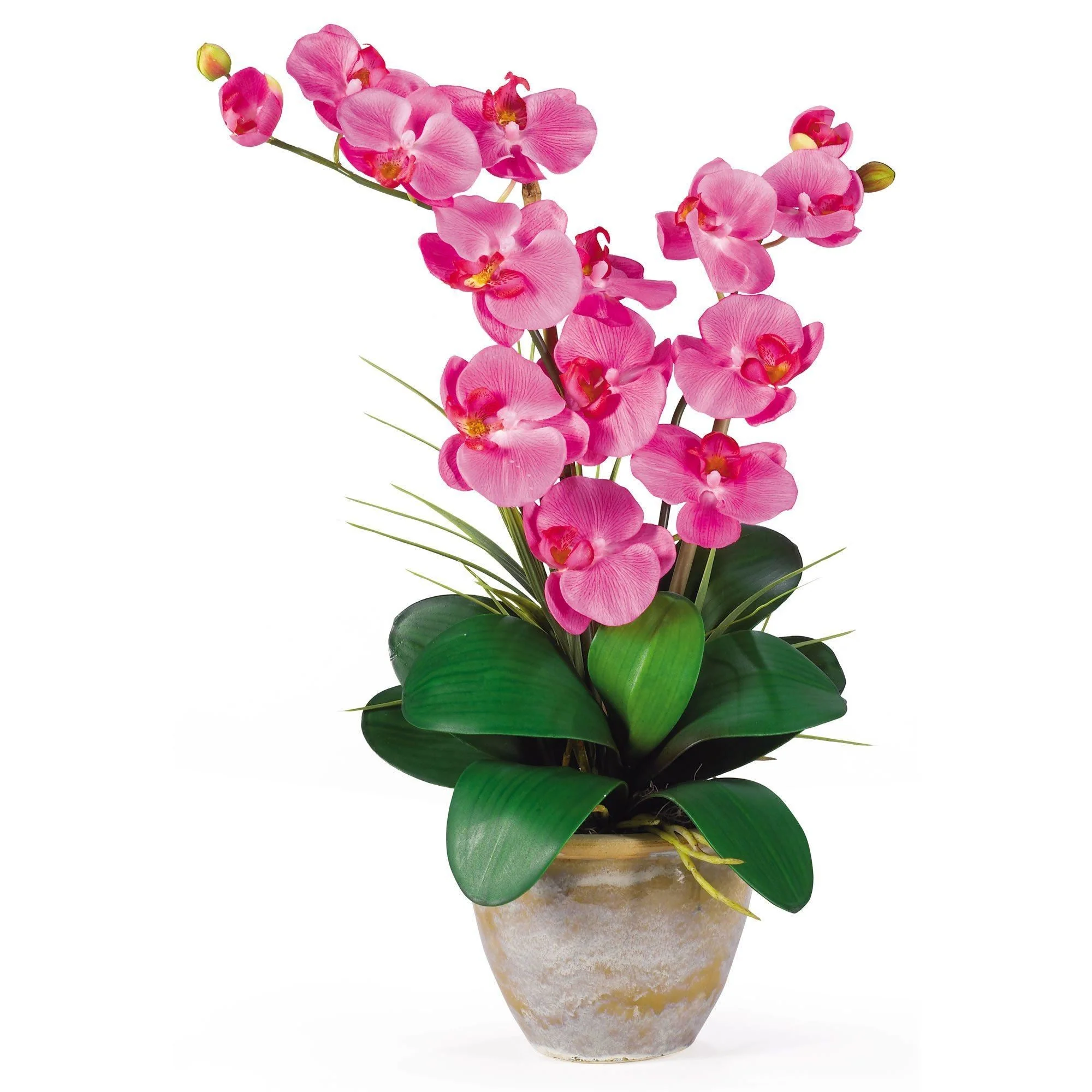 Double Stem Phalaenopsis Silk Orchid Arrangement - Image 3
