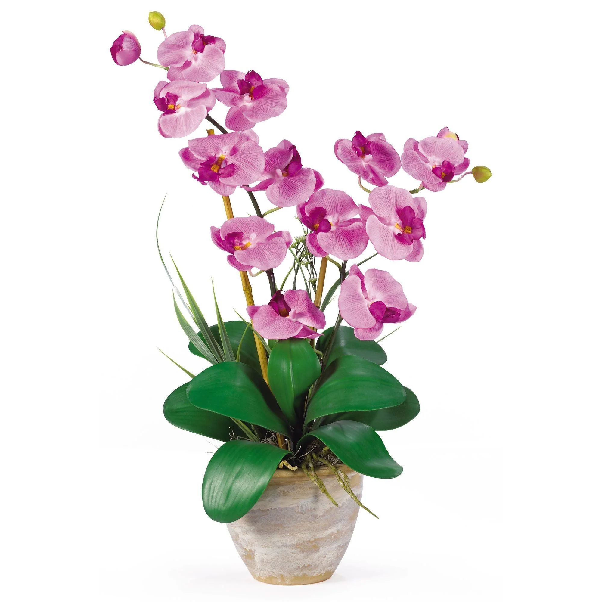 Double Stem Phalaenopsis Silk Orchid Arrangement - Image 6