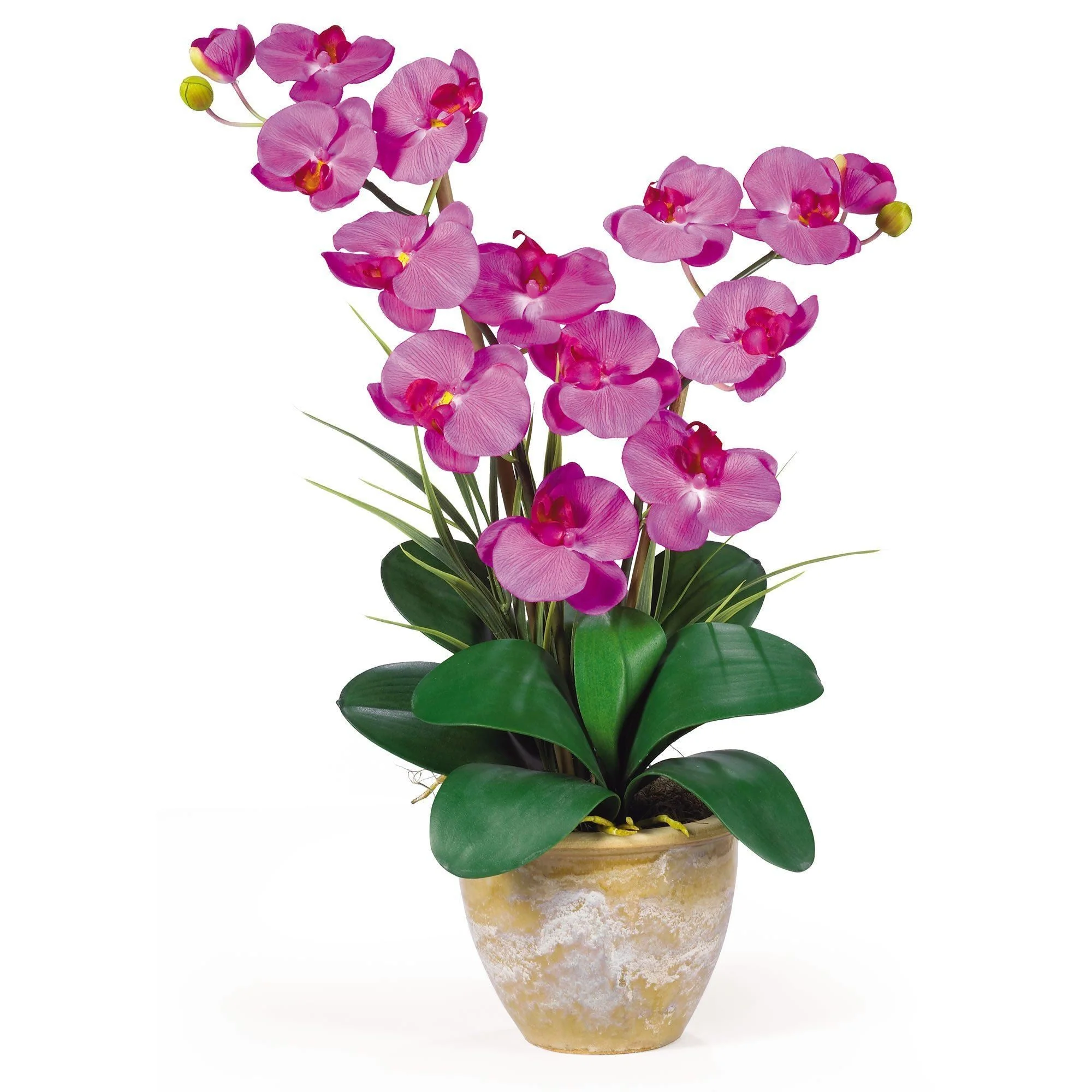 Double Stem Phalaenopsis Silk Orchid Arrangement - Image 8