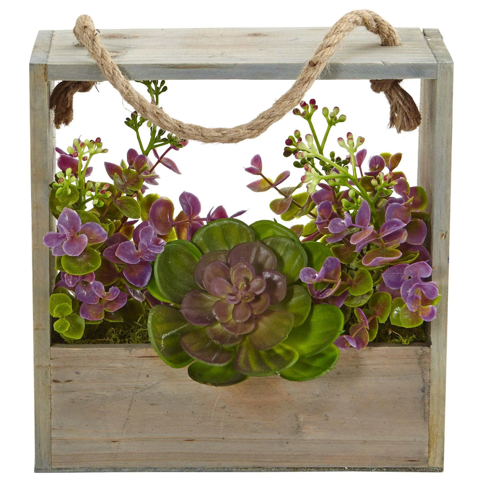Echeveria Succulent and Eucalyptus Artificial Plant in Hanging Frame - Image 3