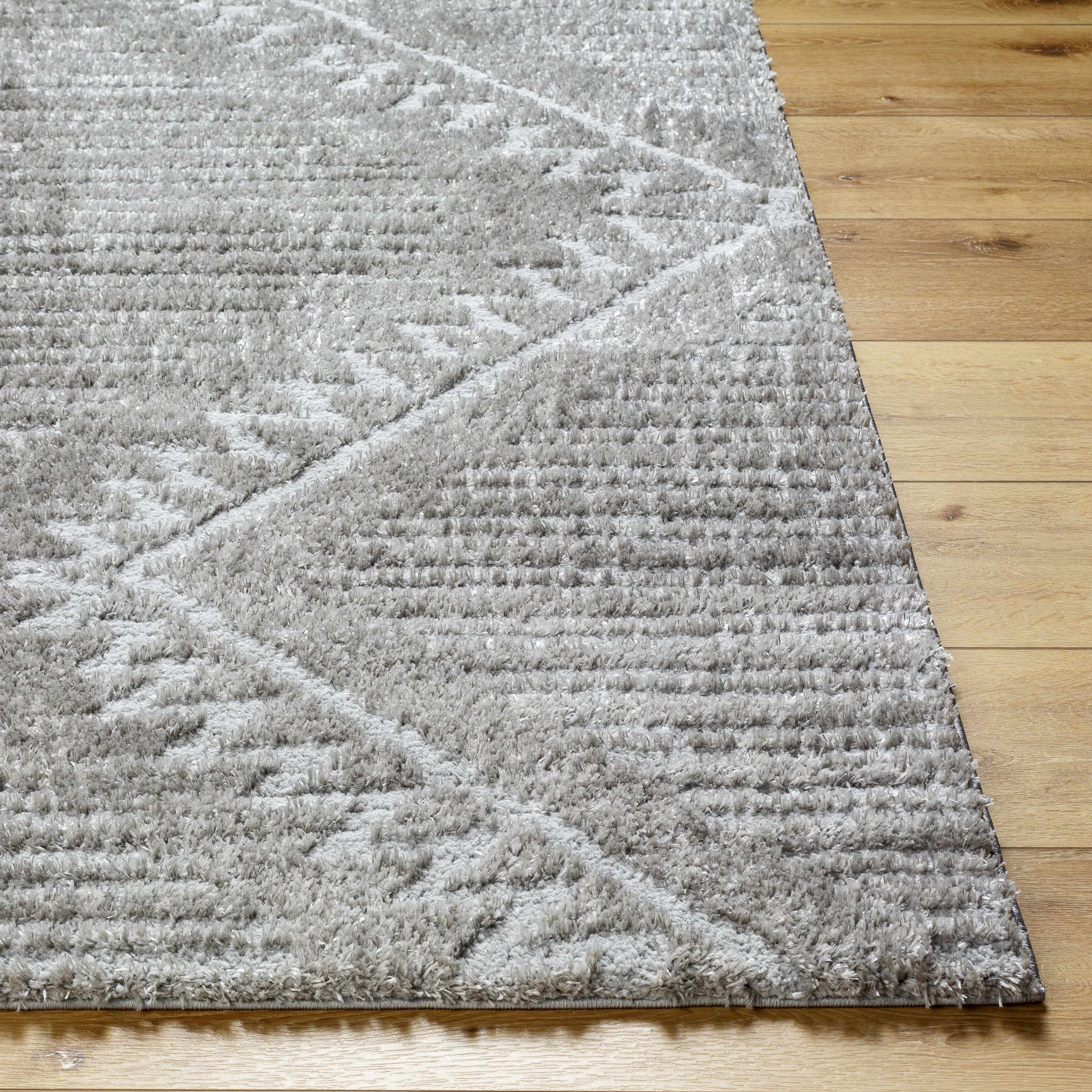 Edsel Gray Area Rug - Image 5