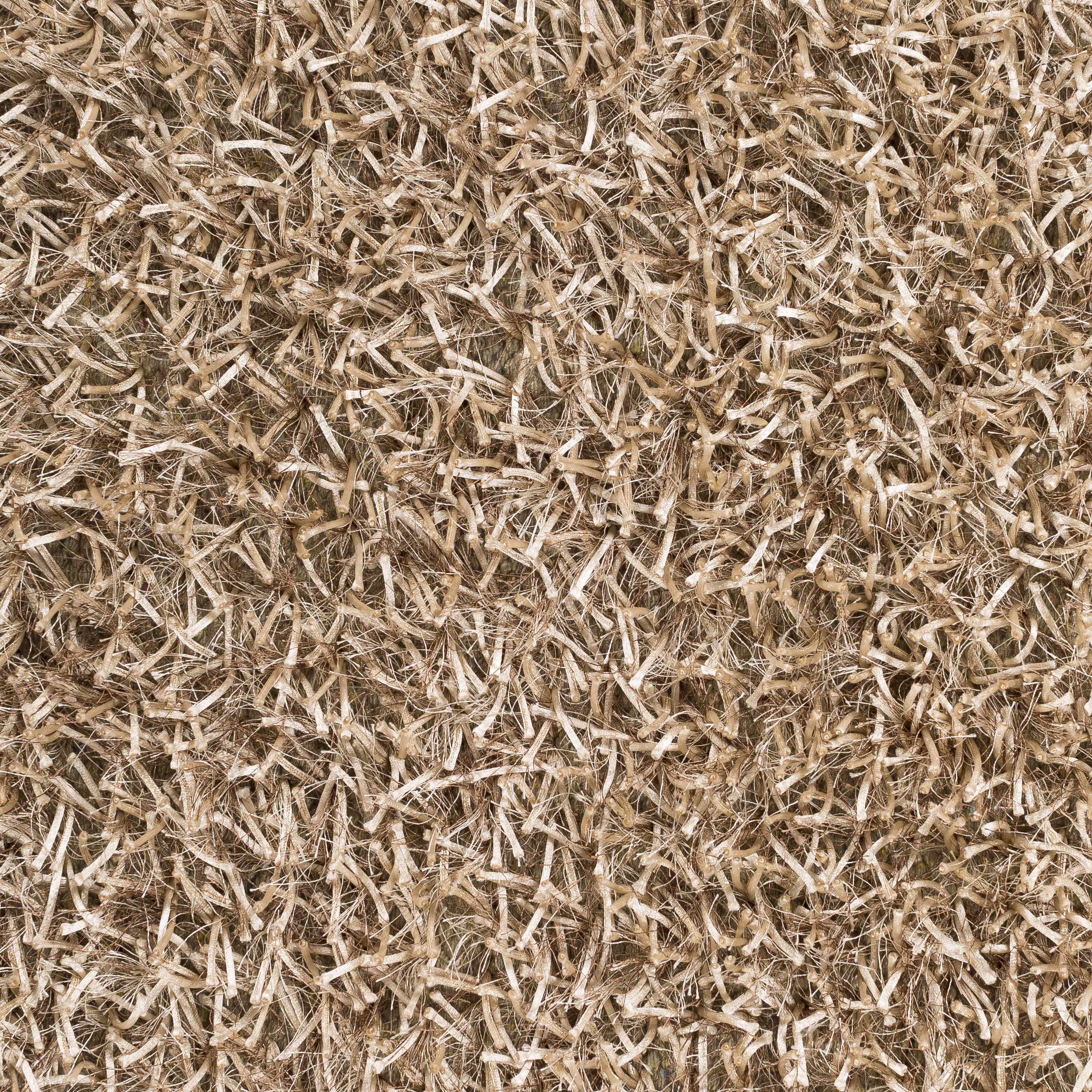 Egan Area Carpet - Clearance - Image 6
