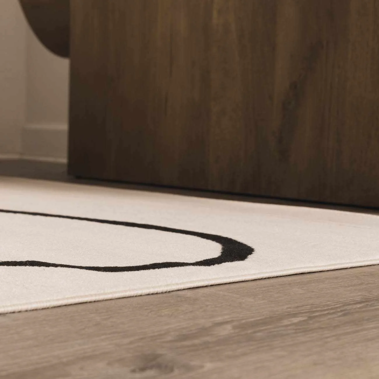 Eilir Modern Low Profile Boho Rug - Image 10