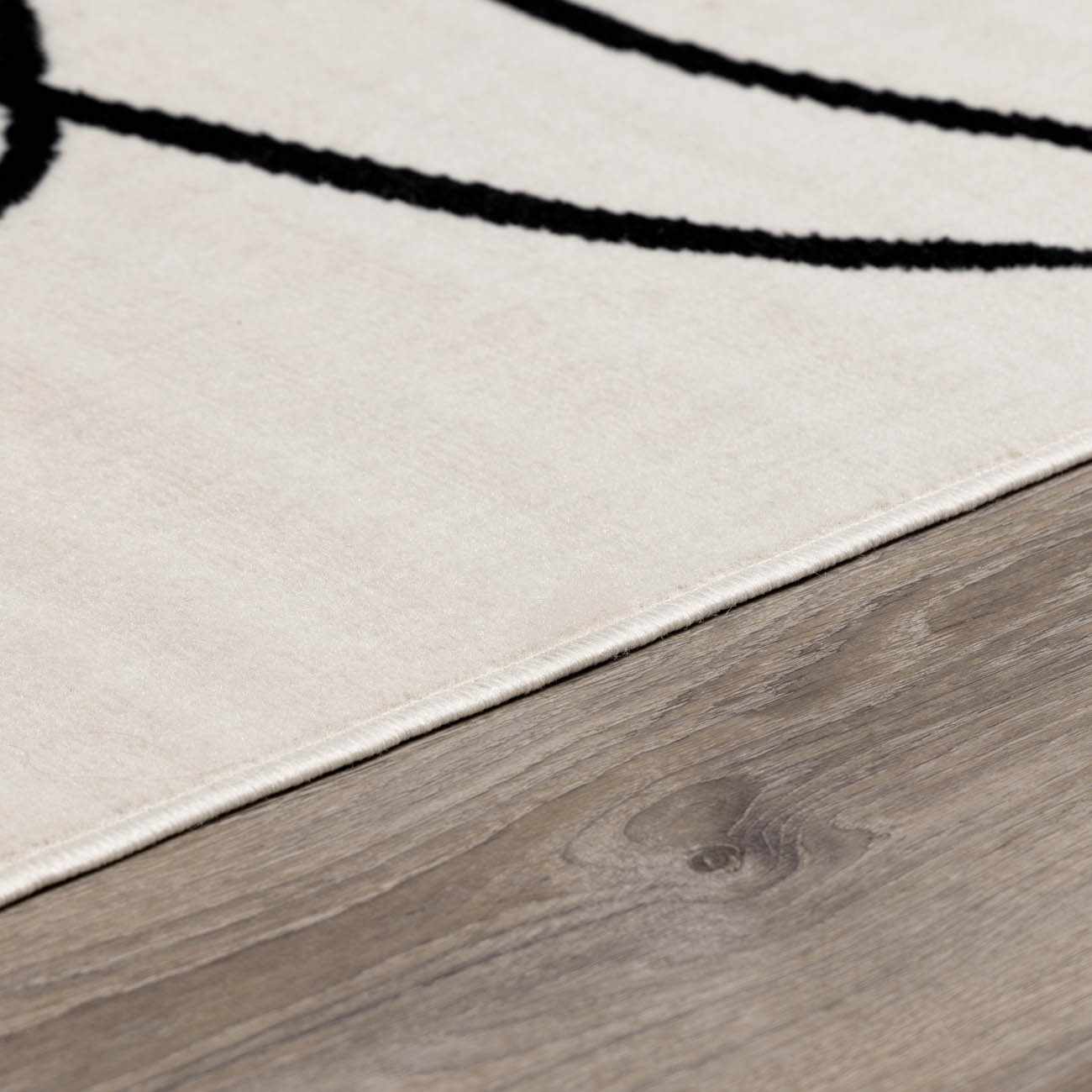 Eilir Modern Low Profile Boho Rug - Image 12
