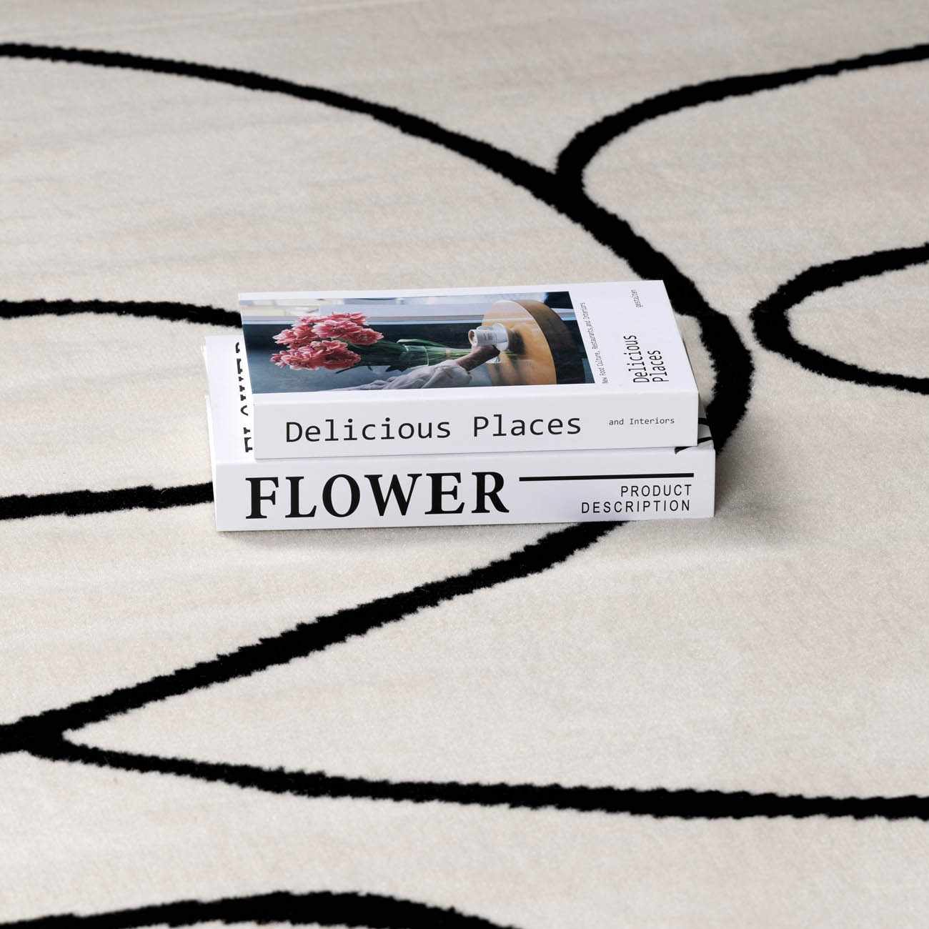 Eilir Modern Low Profile Boho Rug - Image 13