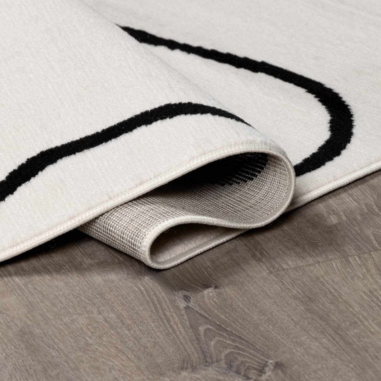 Eilir Modern Low Profile Boho Rug - Image 6