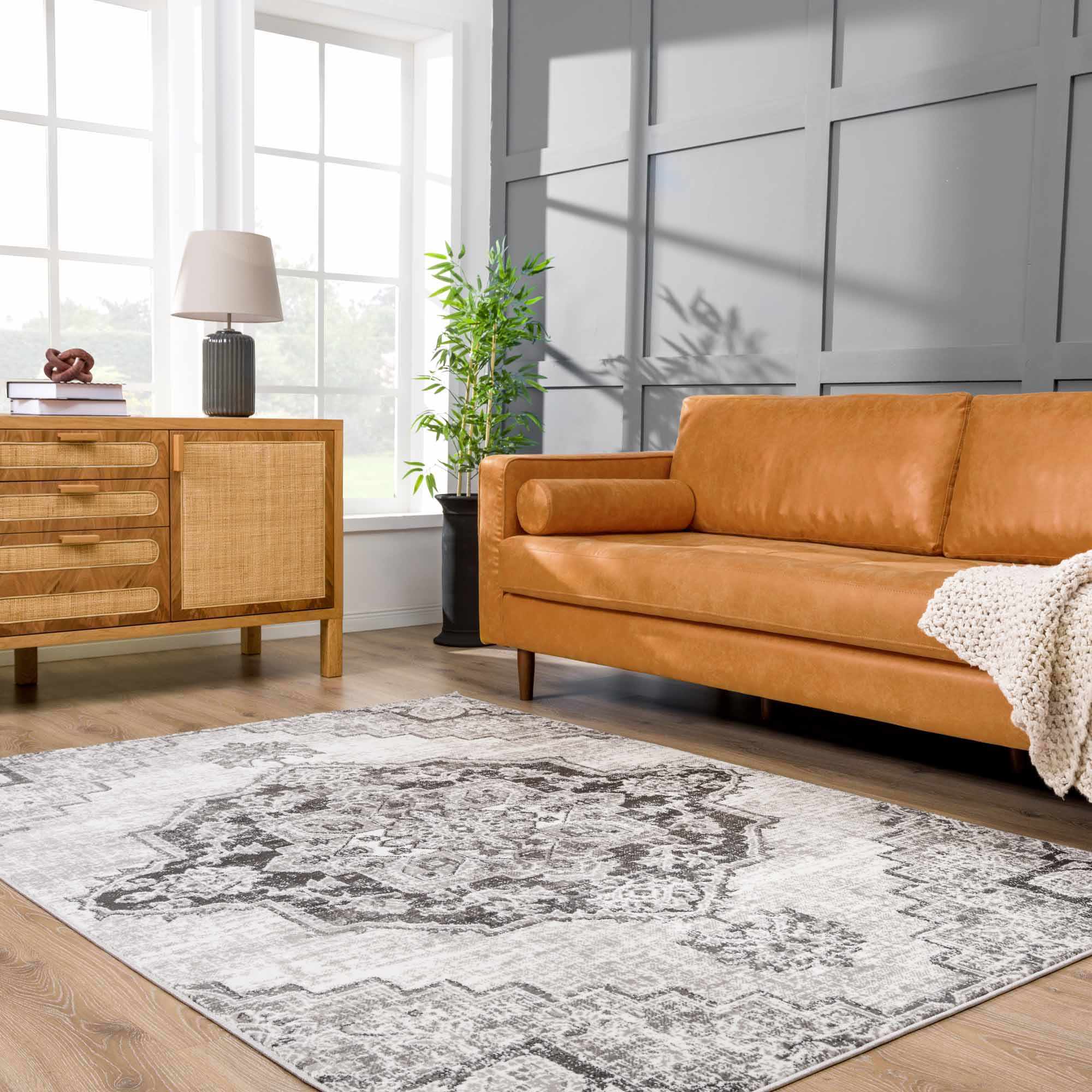 Elani Area Rug - Clearance - Image 4