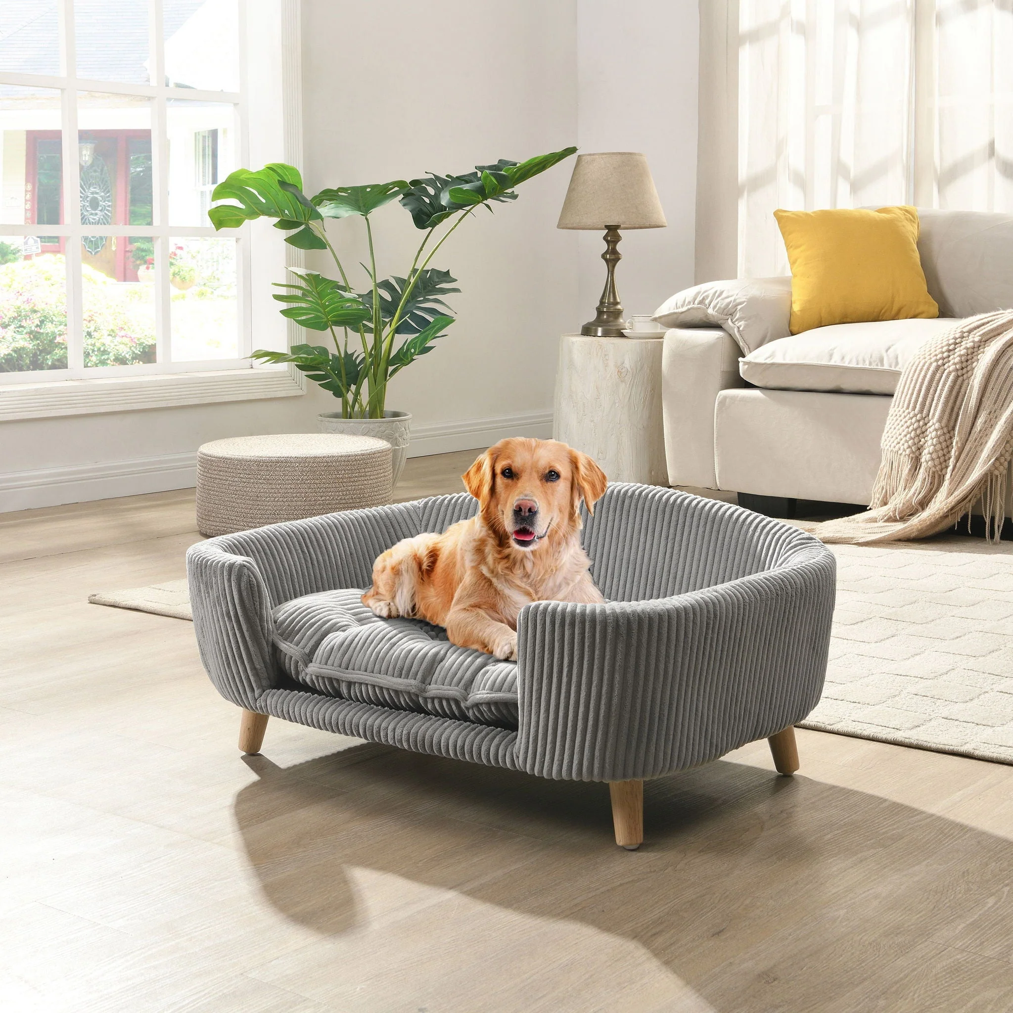 Elevated Dog Bed Frame For Small Dog - Image 11