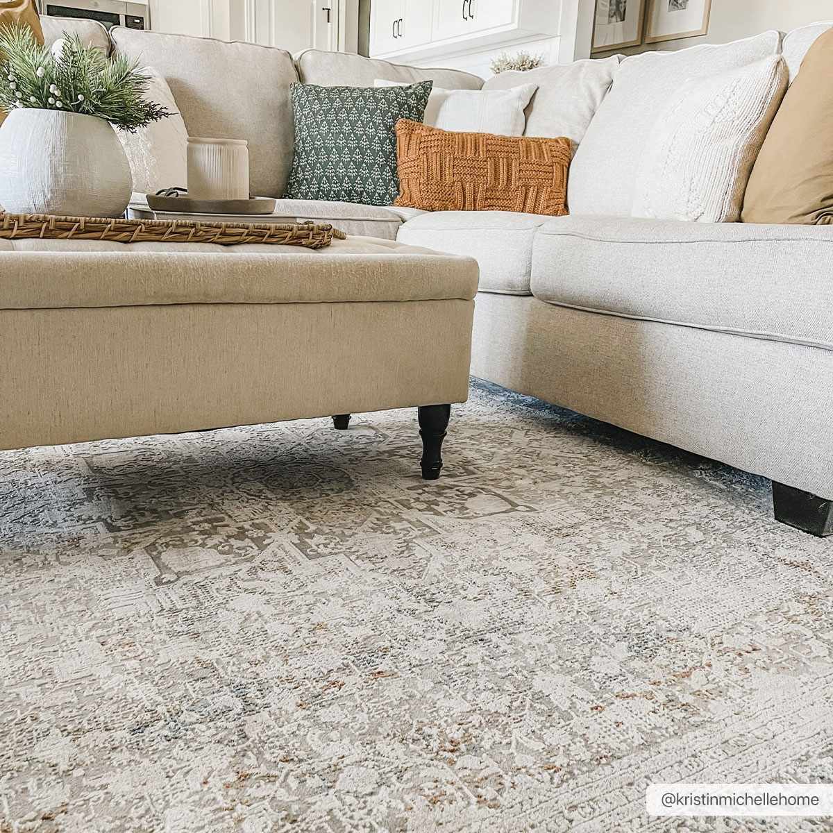 Eley Traditional Area Rug - Clearance - Image 7