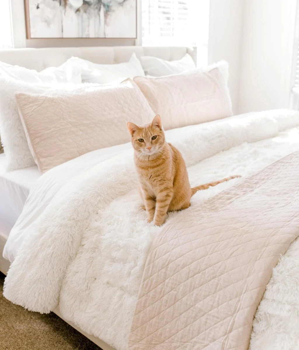 Emma Faux Fur Comforter Set - Image 21