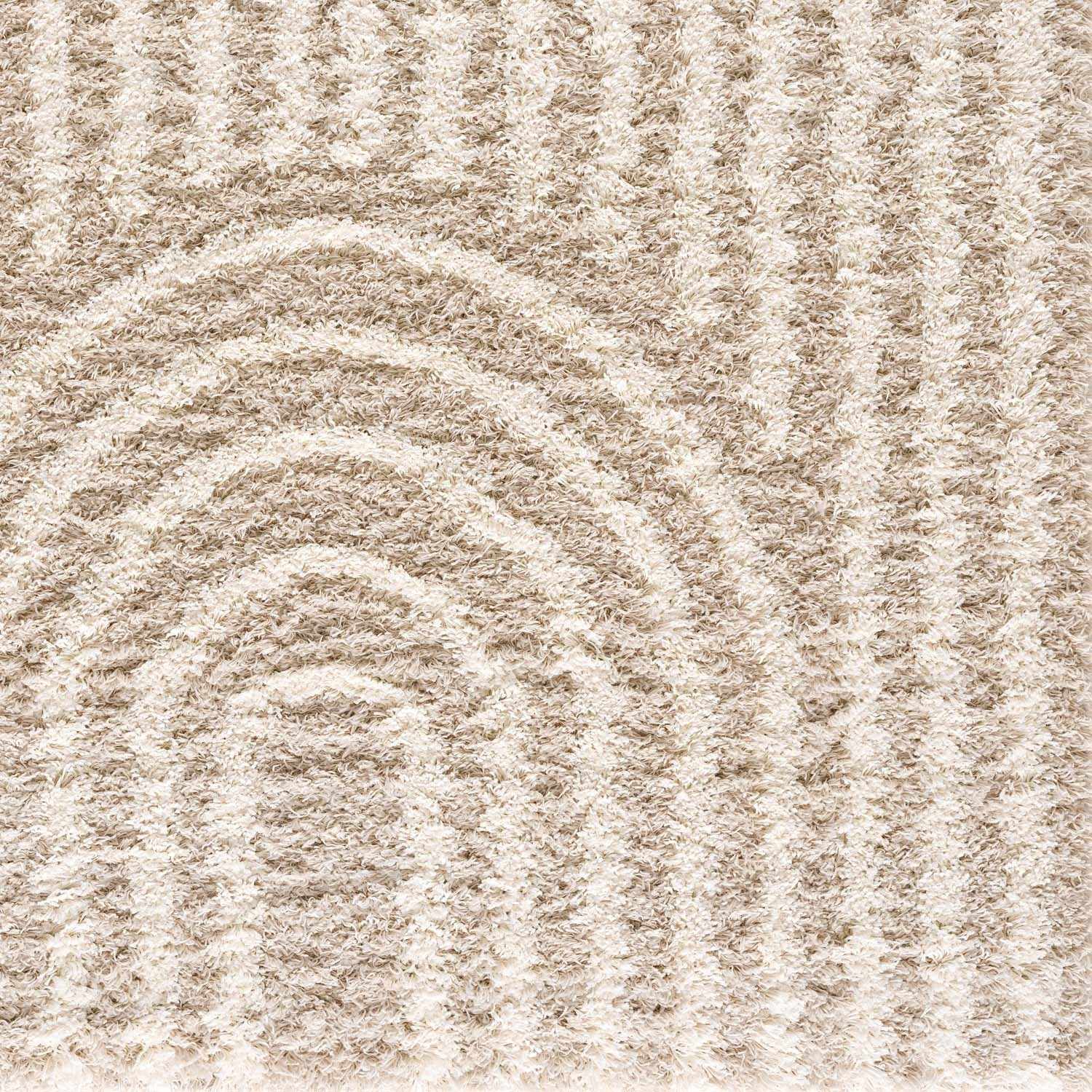 Emmly Shag Area Rug - Image 12