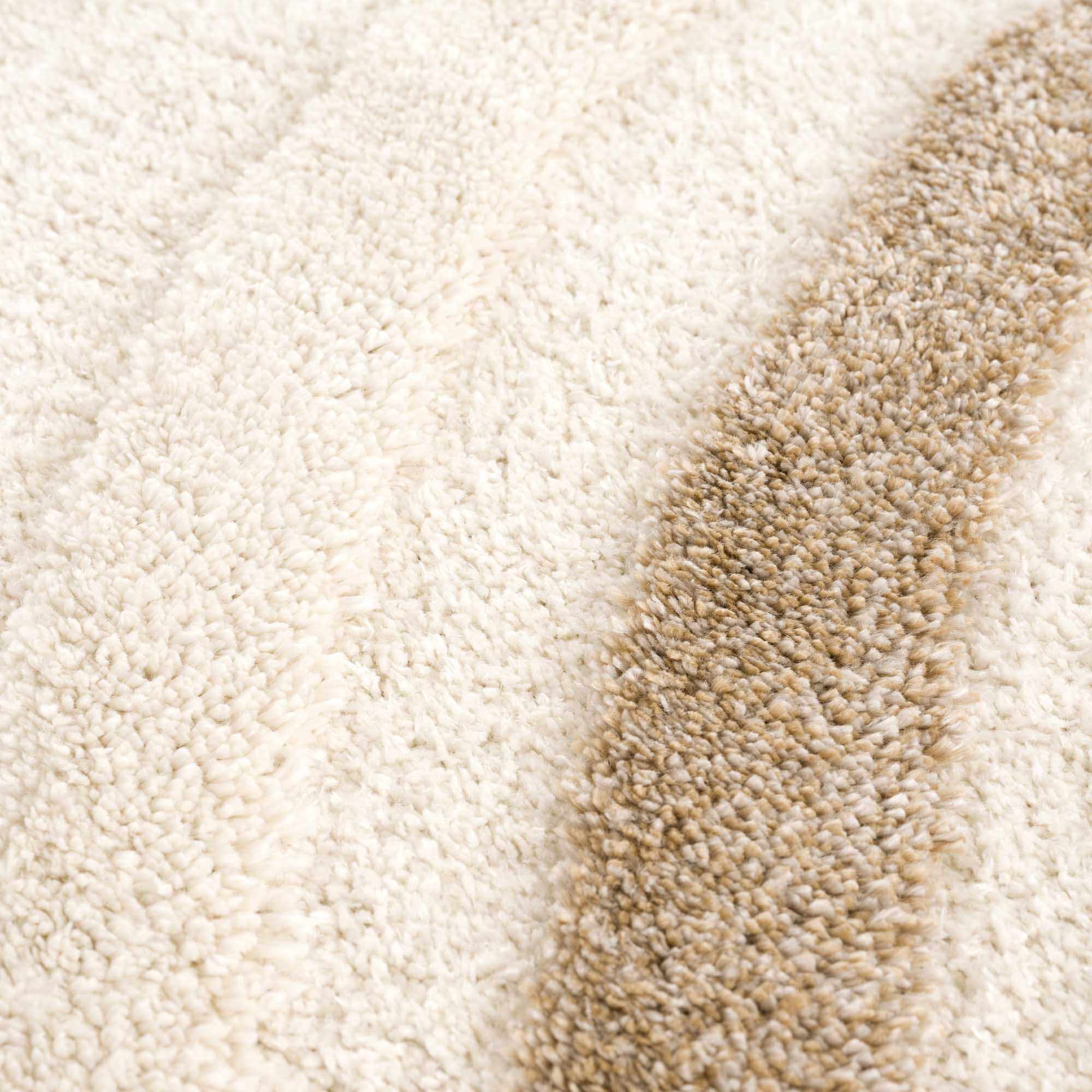 Espiye Area Rug - Clearance - Image 17