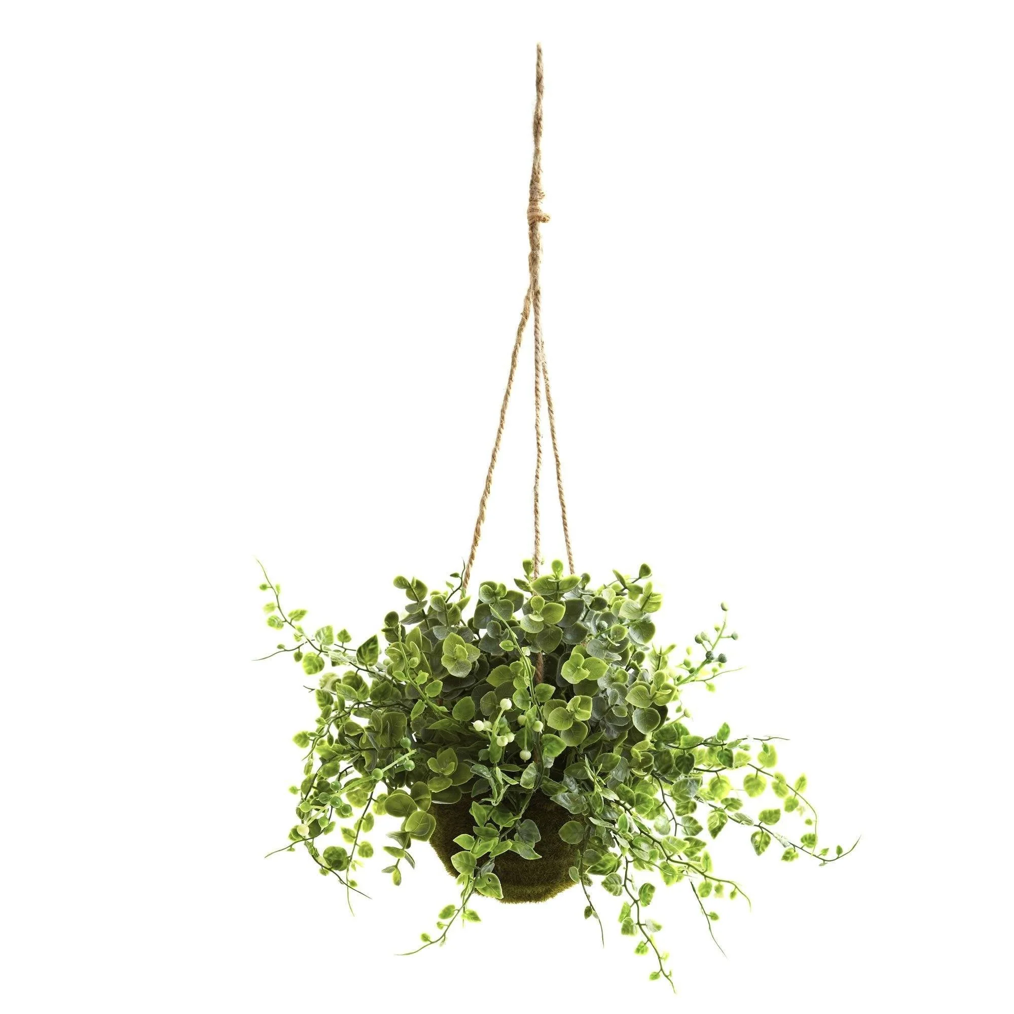 Eucalyptus, Maiden Hair & Berry Hanging Basket (Set of 3) - Image 2