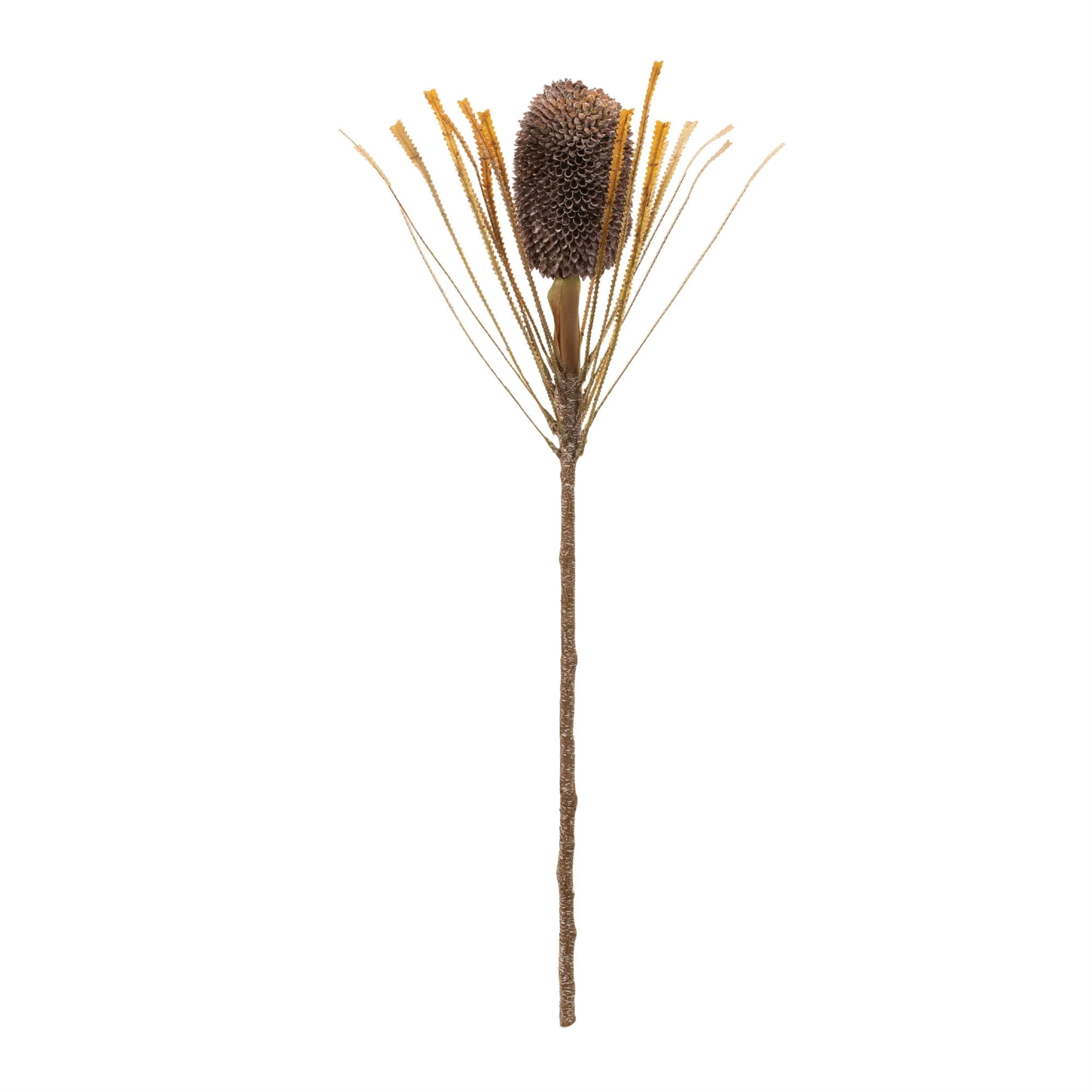 Fall Banksia Pod Stem (Set of 2) - Image 2