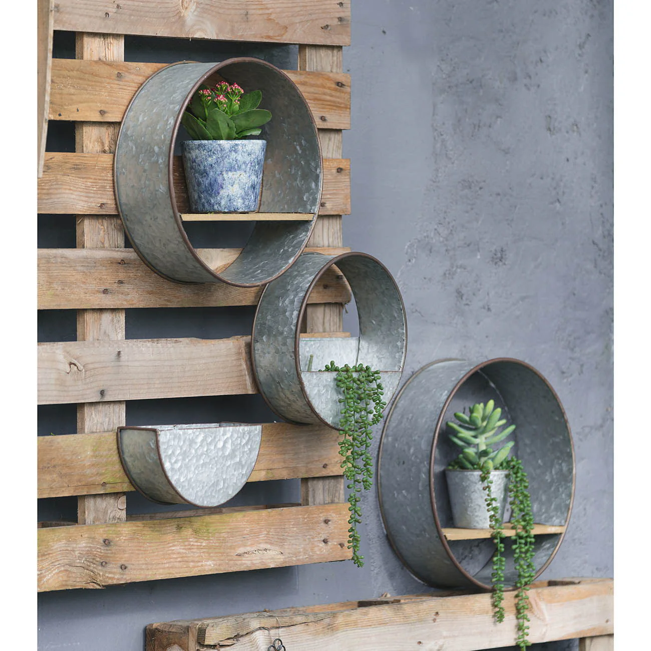 Farmhouse Round Metal Wall Planter (Set of 5) - Gray - Image 3