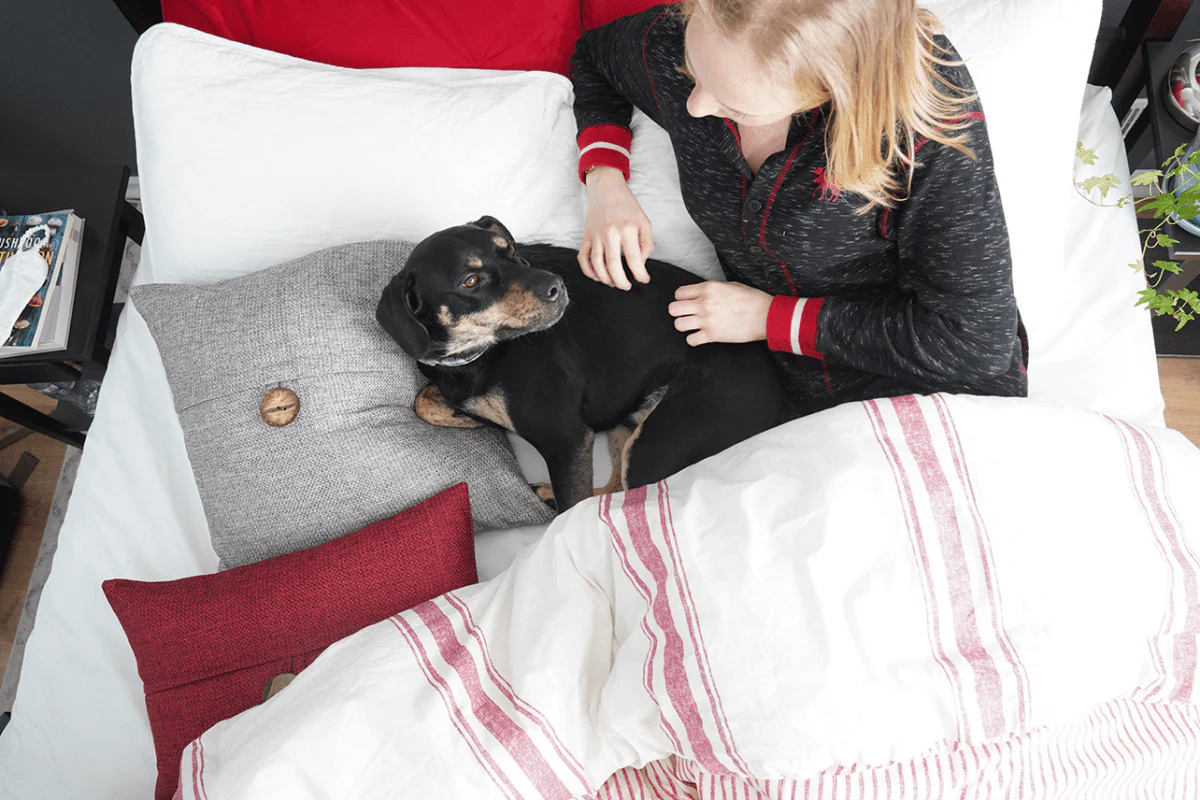 Farmhouse Stripe Reversible Comforter Set - Image 66