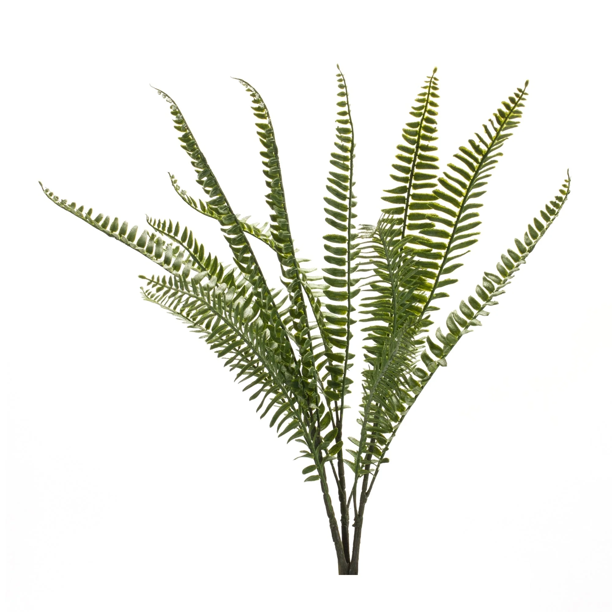 Fern Foliage Bush (Set of 6) - Image 2