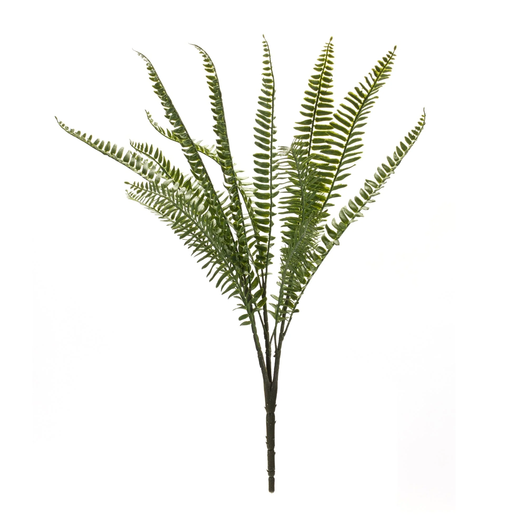 Fern Foliage Bush (Set of 6) - Image 3