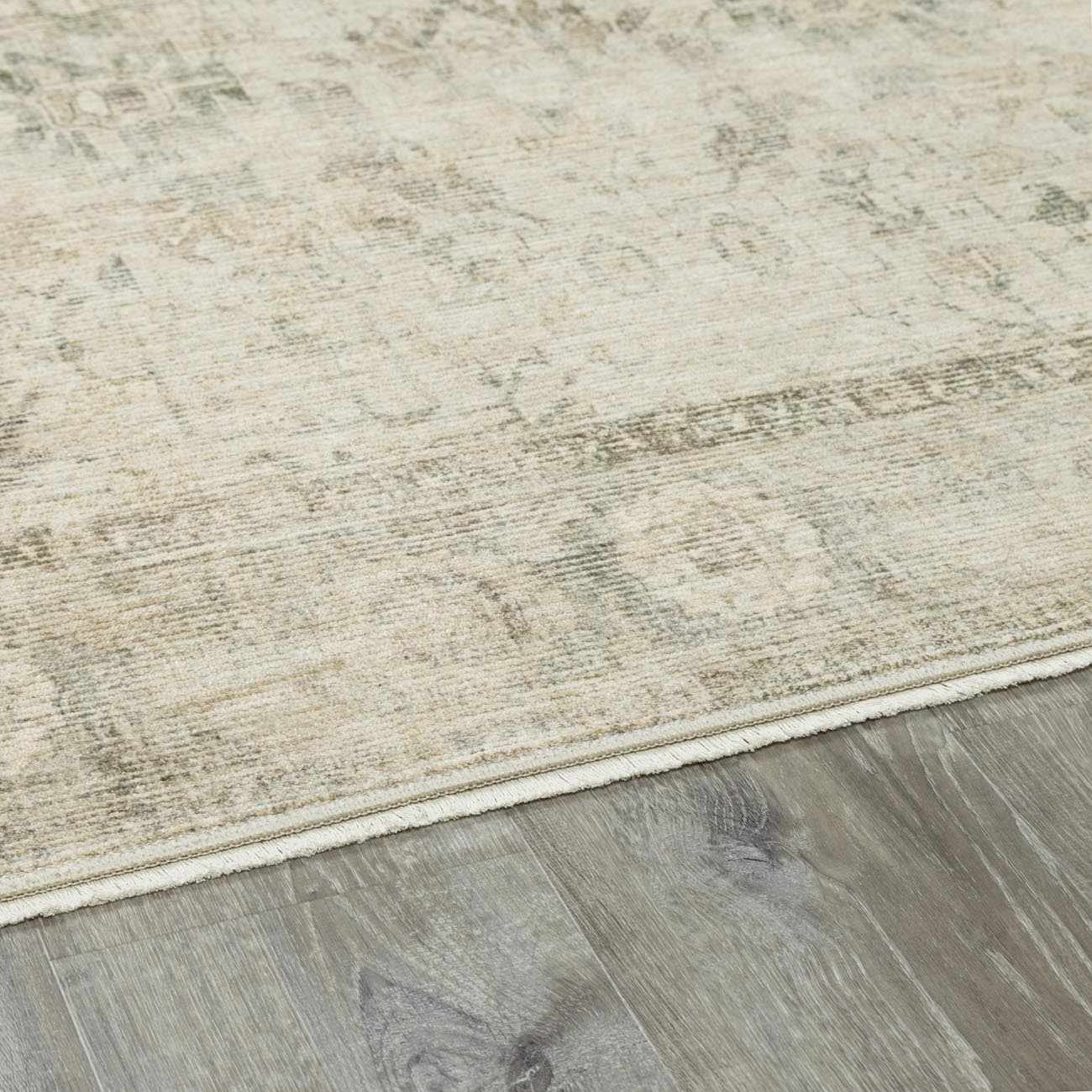 Fetscher II Vintage Medallion Area Rug - Image 10