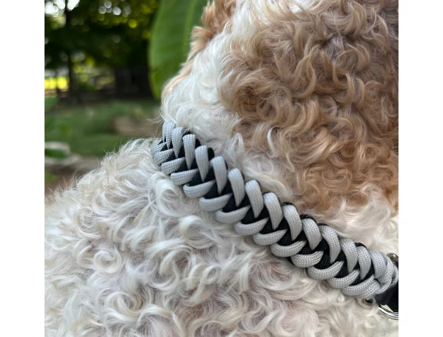 Fishtail Hand Braided Dog Collar in Black & Smoke - Image 5