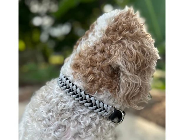 Fishtail Hand Braided Dog Collar in Black & Smoke - Image 7