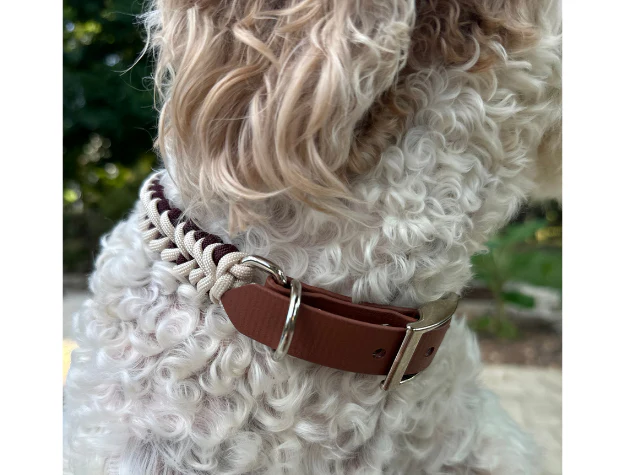 Fishtail Hand Braided Dog Collar in Burgundy & Cream - Image 6
