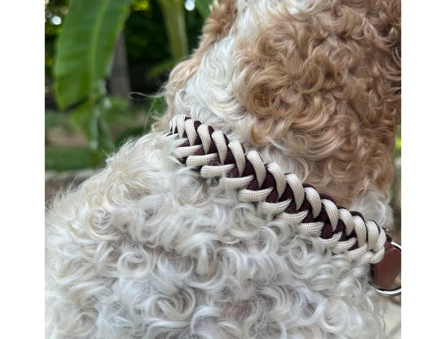 Fishtail Hand Braided Dog Collar in Burgundy & Cream - Image 7