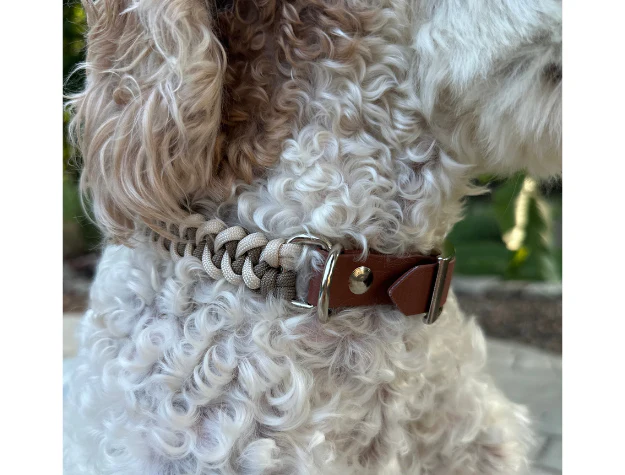 Fishtail Hand Braided Dog Collar in Tan & Cream - Image 4