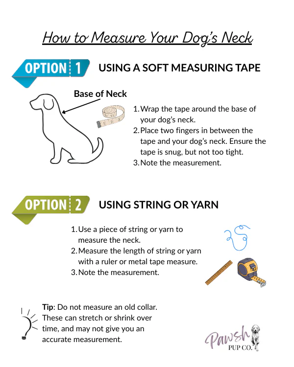 Fishtail Hand Braided Dog Collar in Tan & Cream - Image 9
