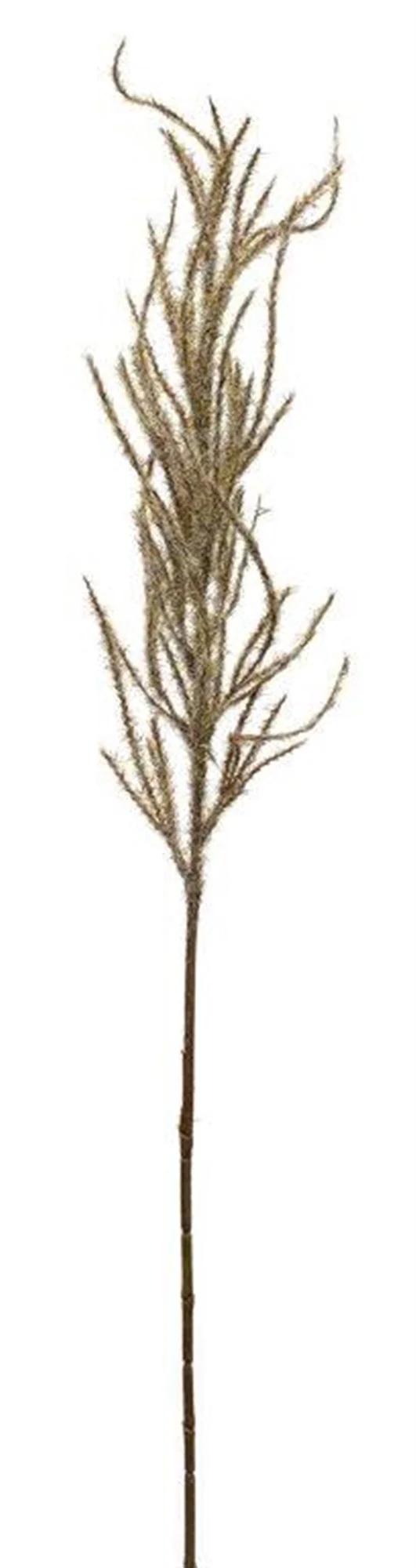Flocked Beige Pampas Grass Spray (Set of 4) - Image 2
