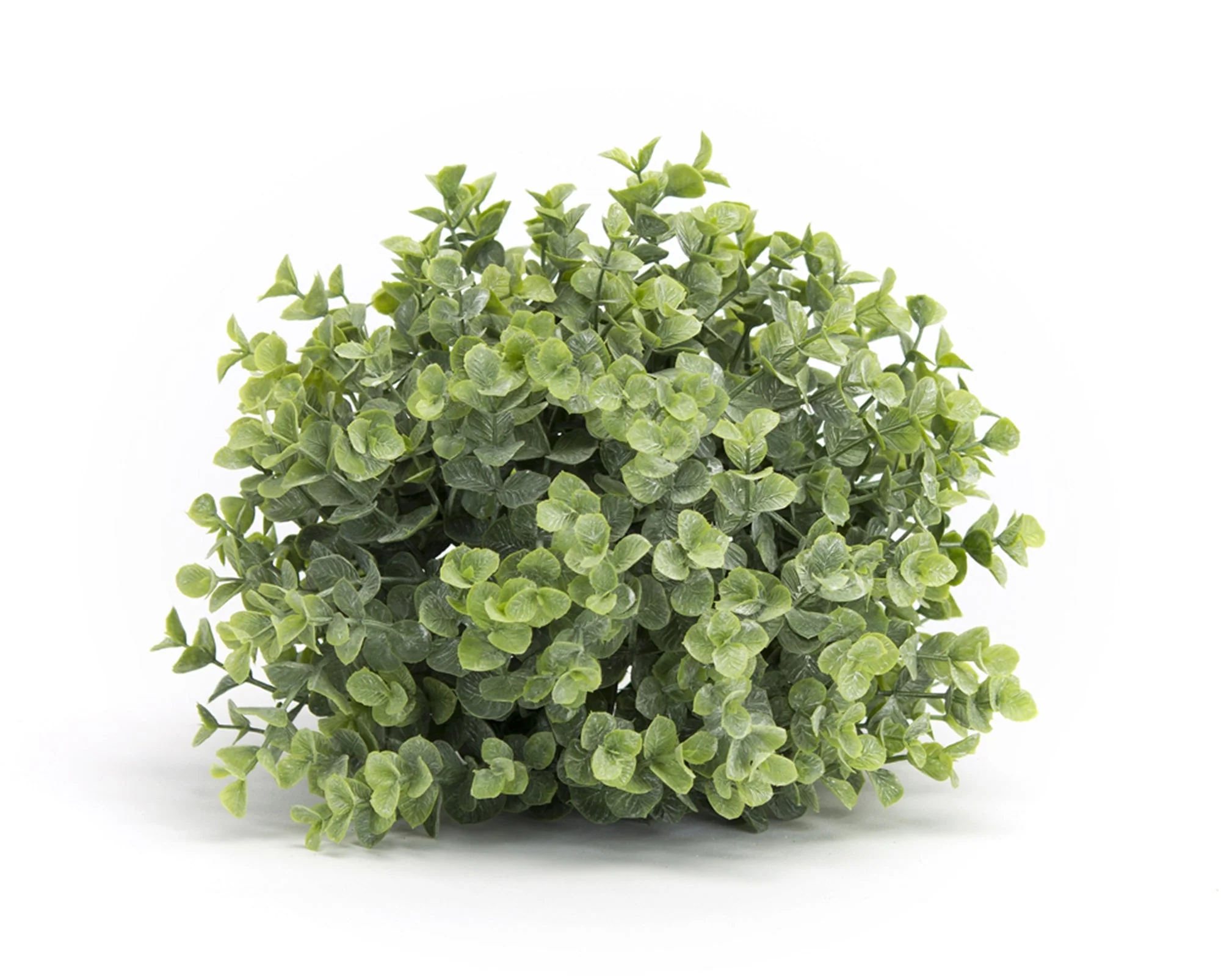 Foliage Half Orb (Set of 6) - Image 2