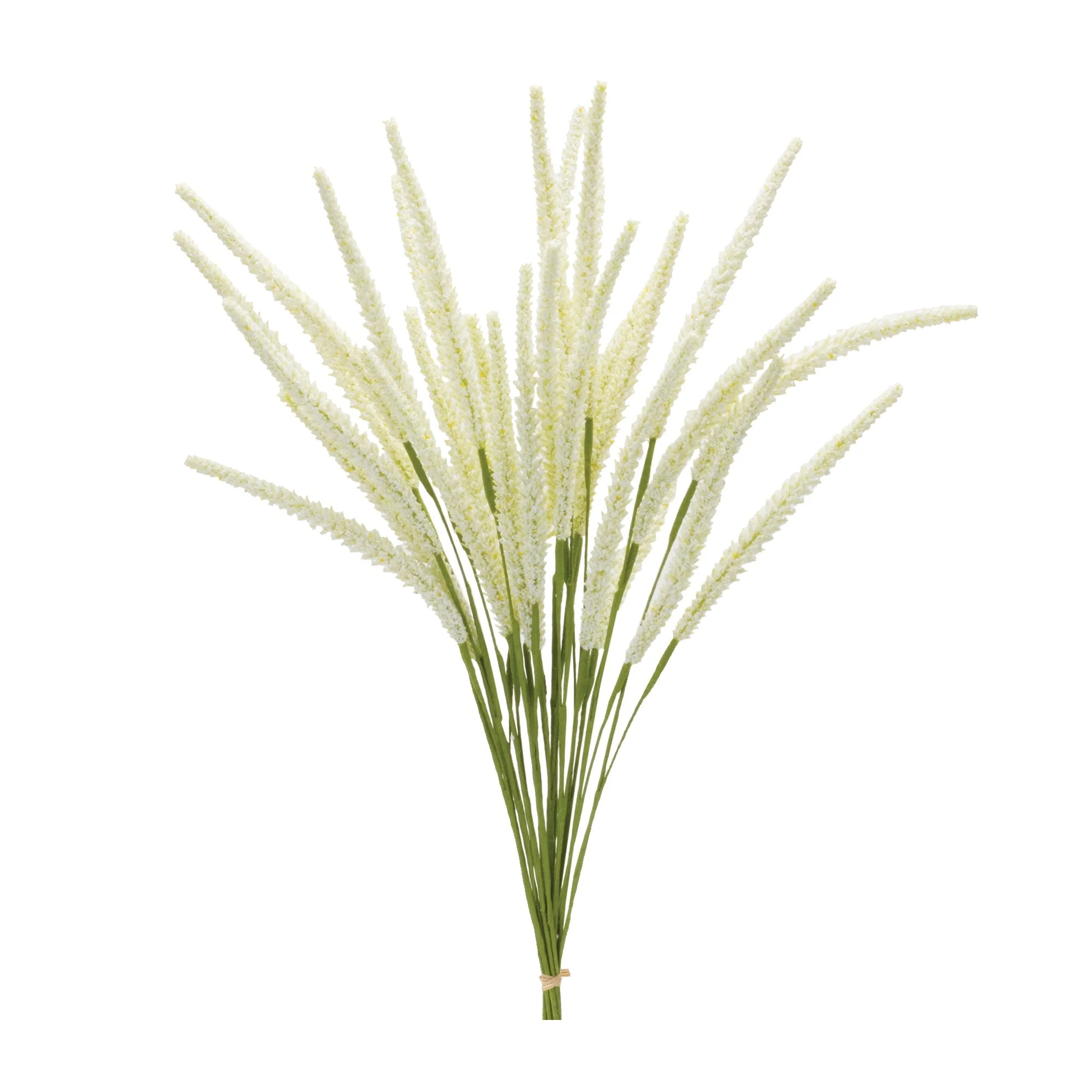 Foxtail Bundle (Set of 6) - Image 2