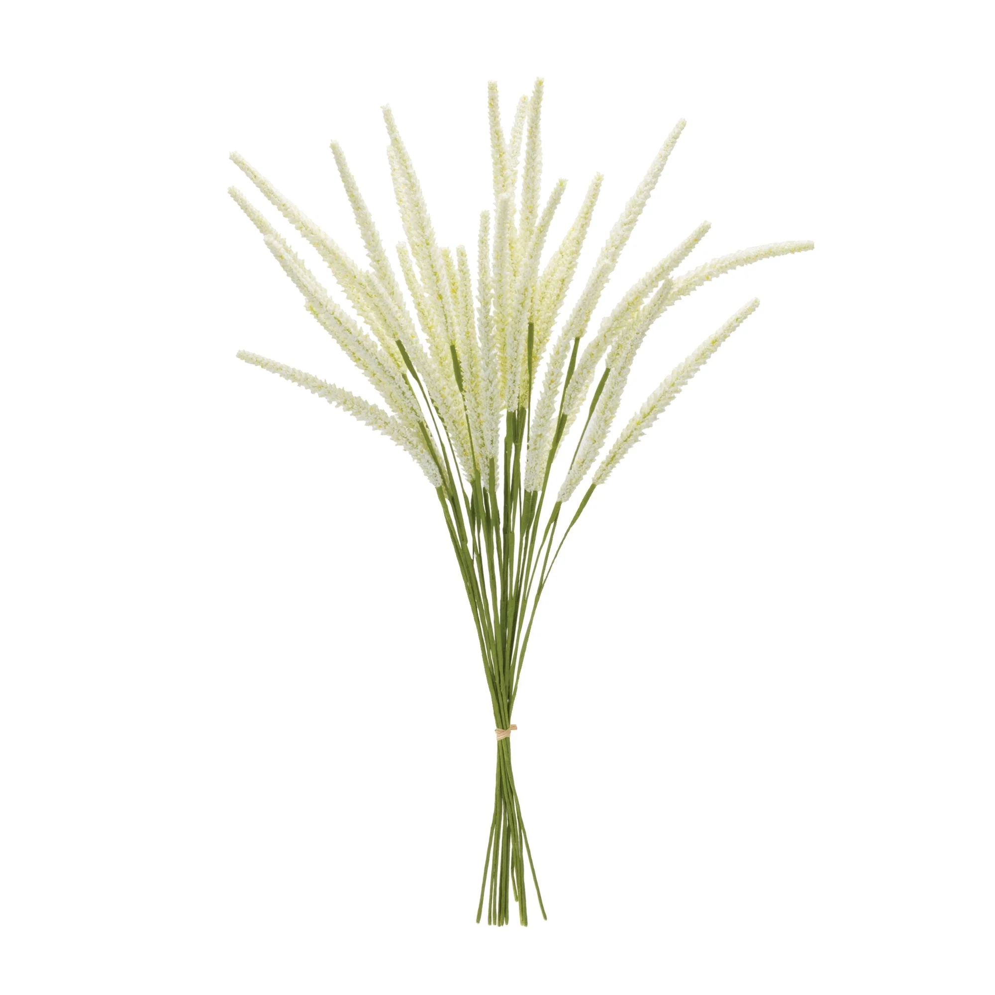 Foxtail Bundle (Set of 6) - Image 3