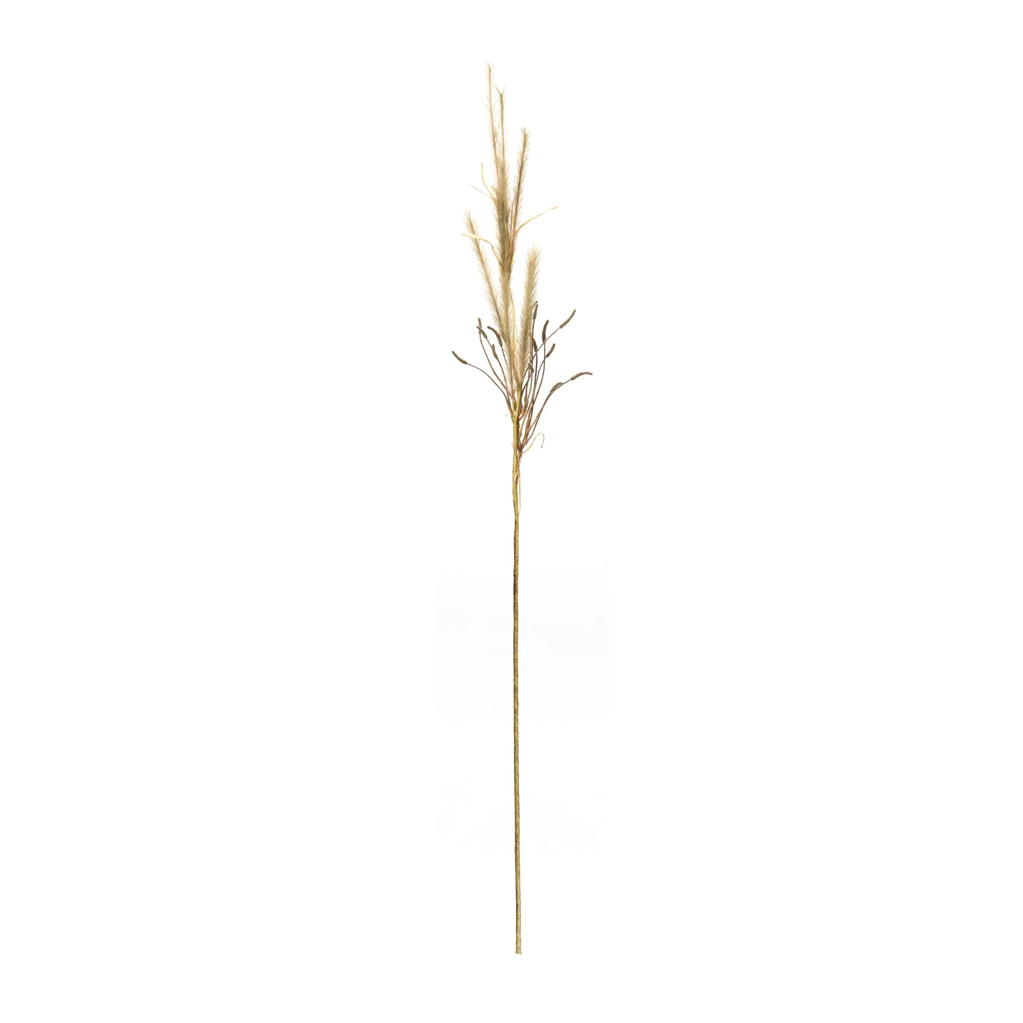 Foxtail Grass Spray (Set of 2) - Image 2