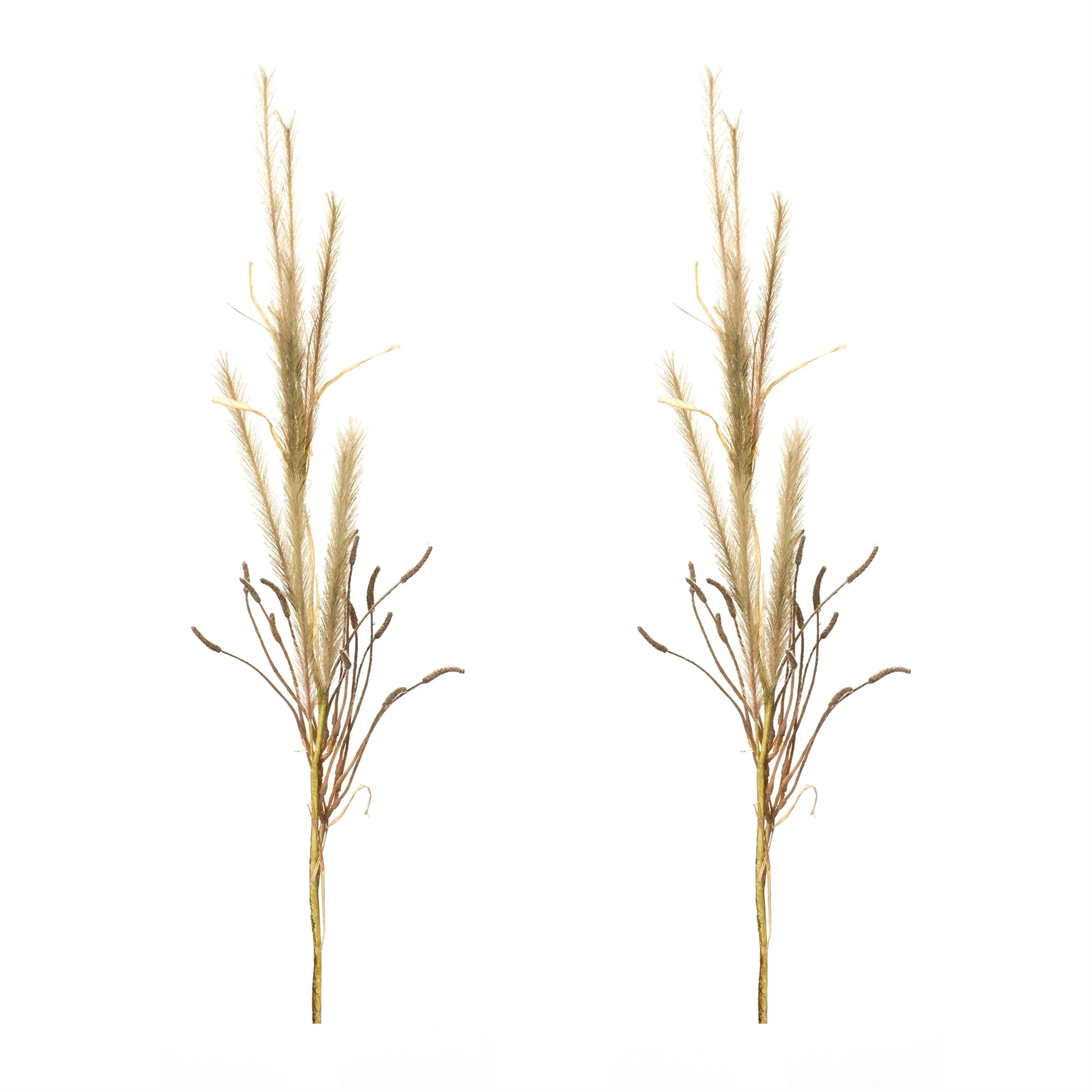 Foxtail Grass Spray (Set of 2) - Image 3