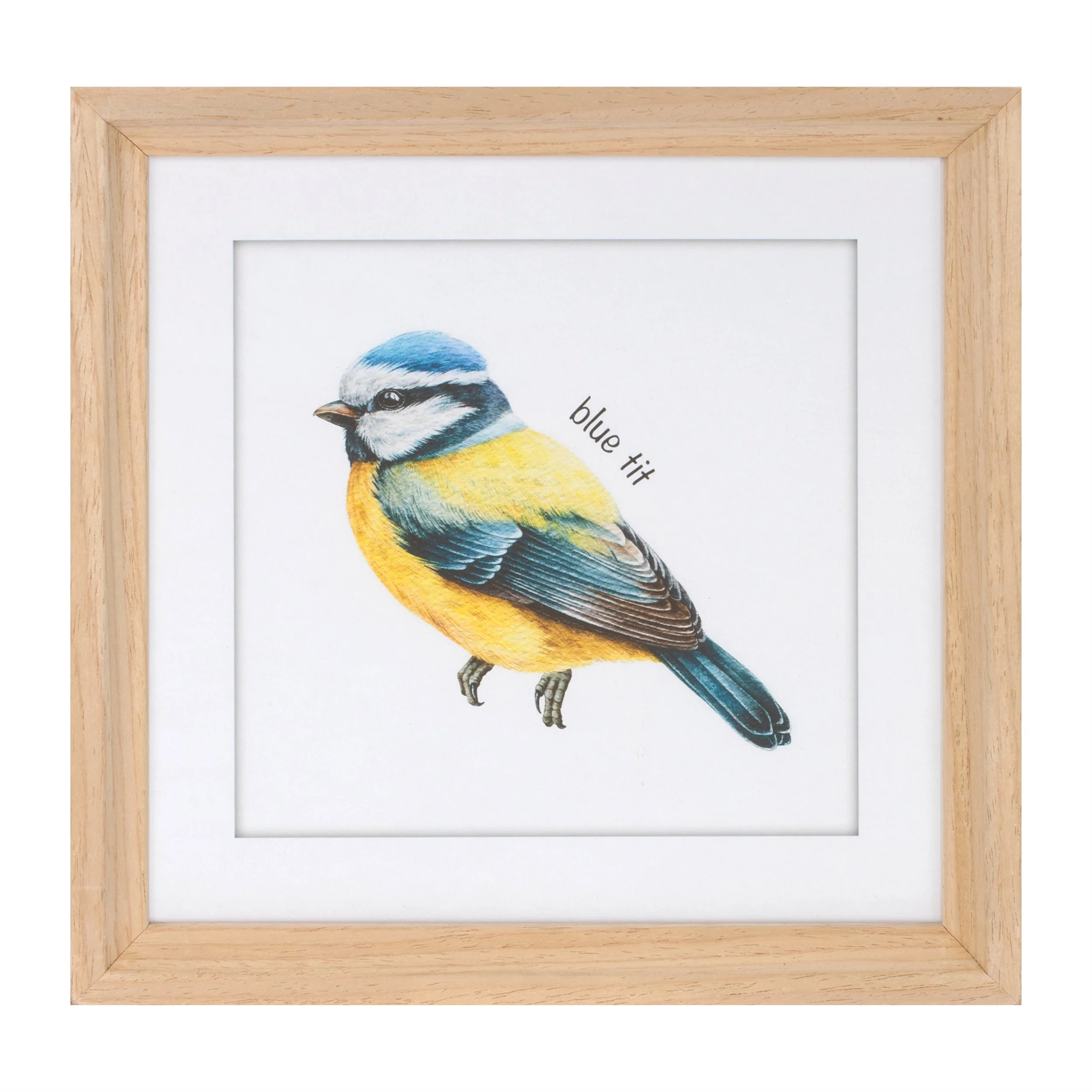 Framed Bird Print Under Glass (Set of 8) - Image 2