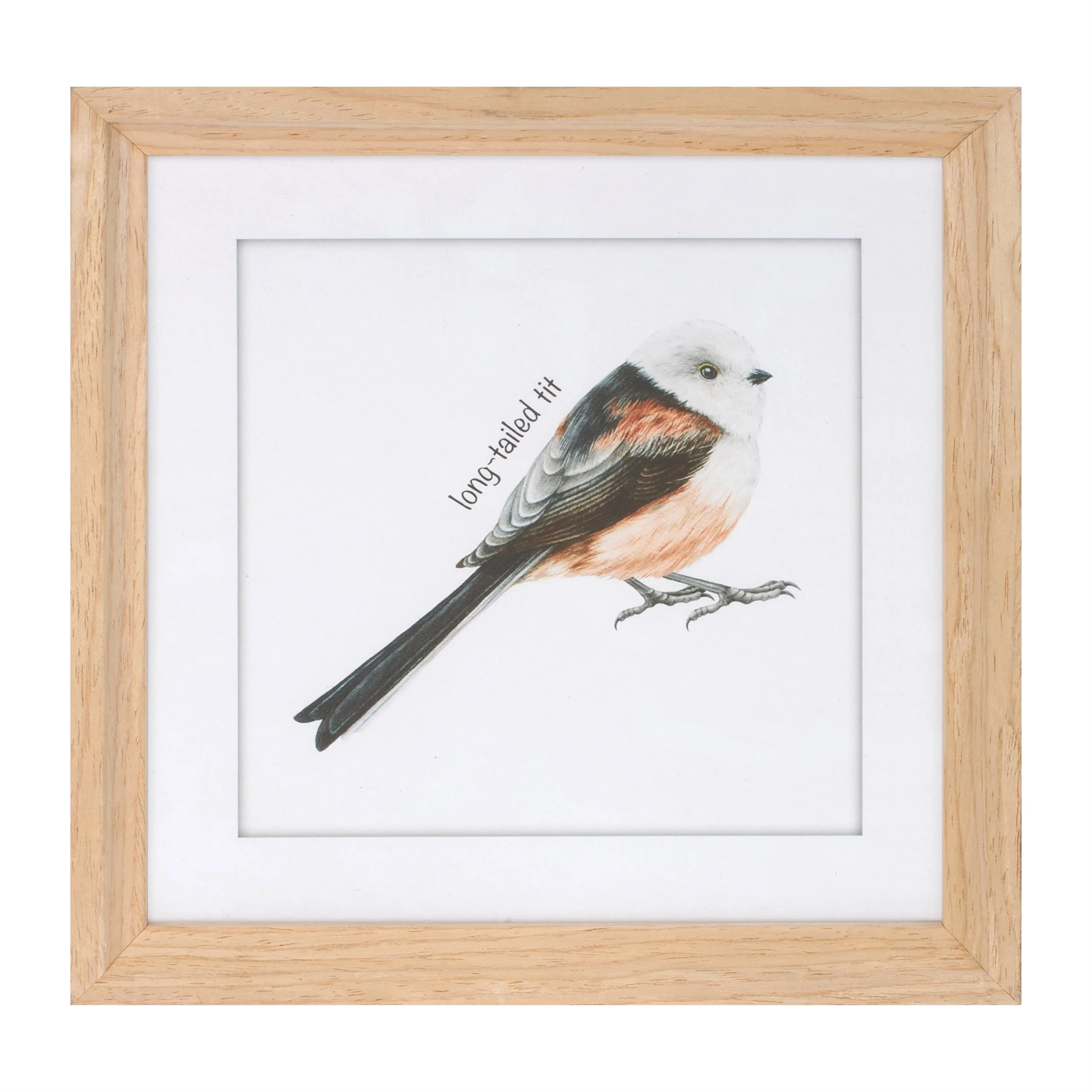 Framed Bird Print Under Glass (Set of 8) - Image 3