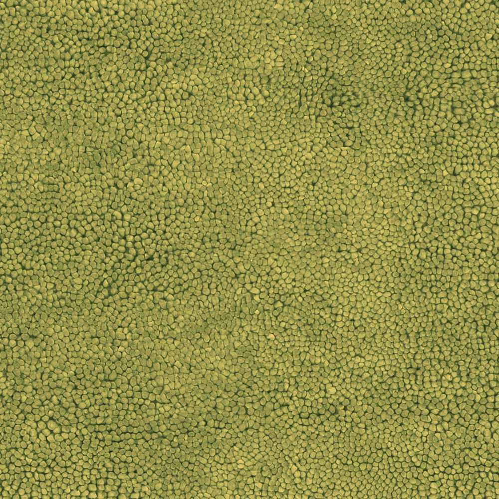 Frederika Solid Olive Green Wool Shag Rug - Clearance - Image 4
