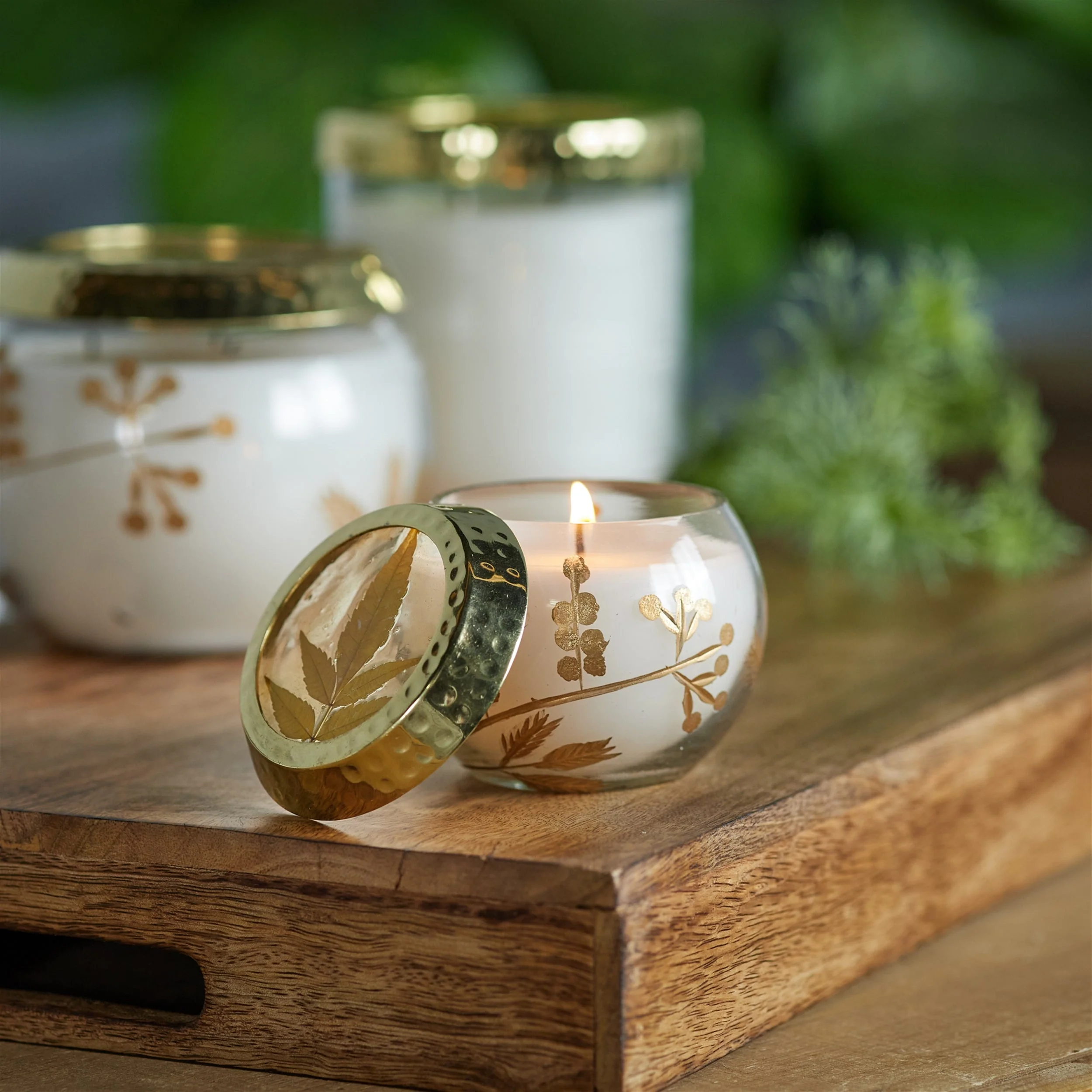 Frosted Juniper Scented Soy Candle with Pressed Leaf Lid (Set of 3) - Image 2