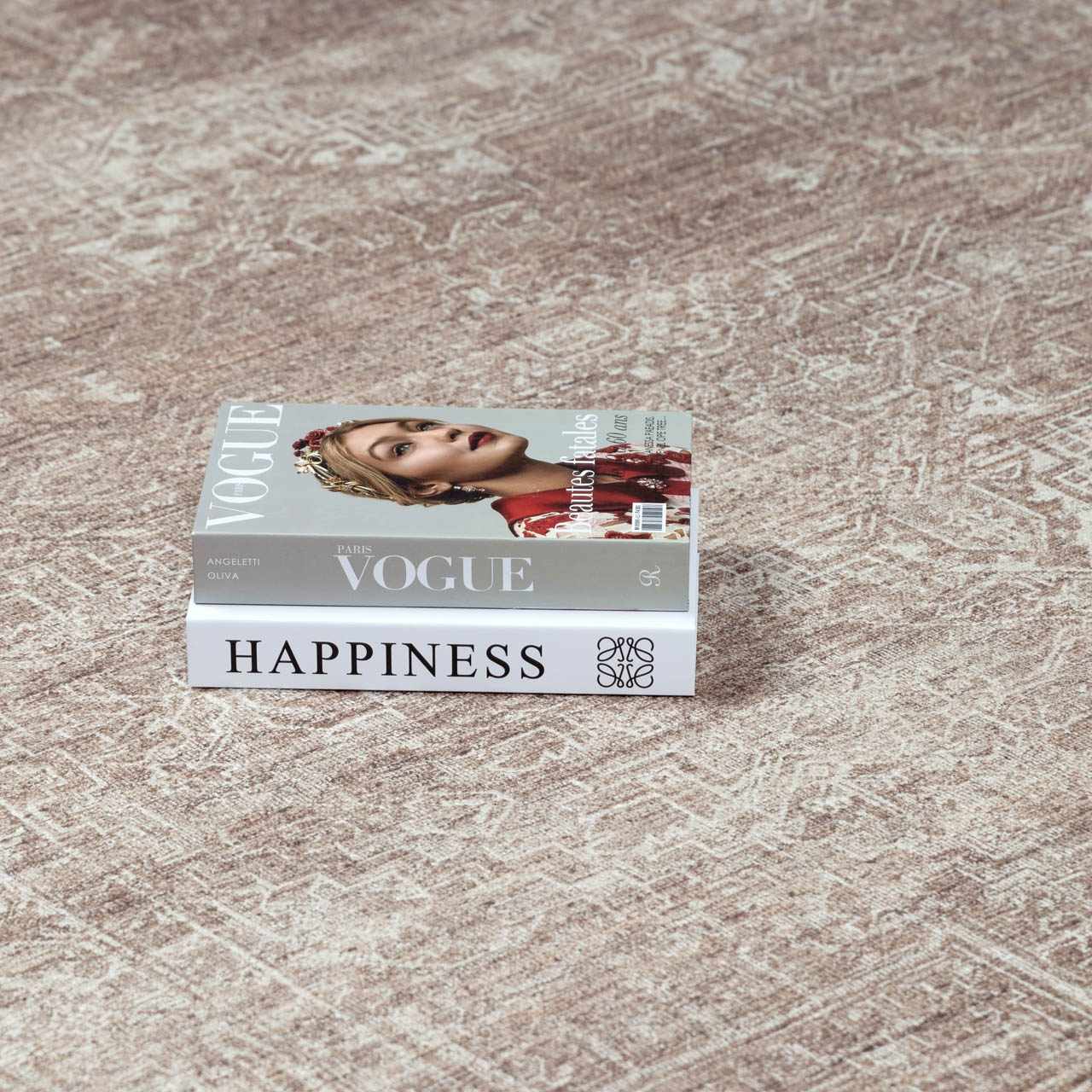 Galey Alix Collins Avenue VI Vintage Medallion Rug - Image 13