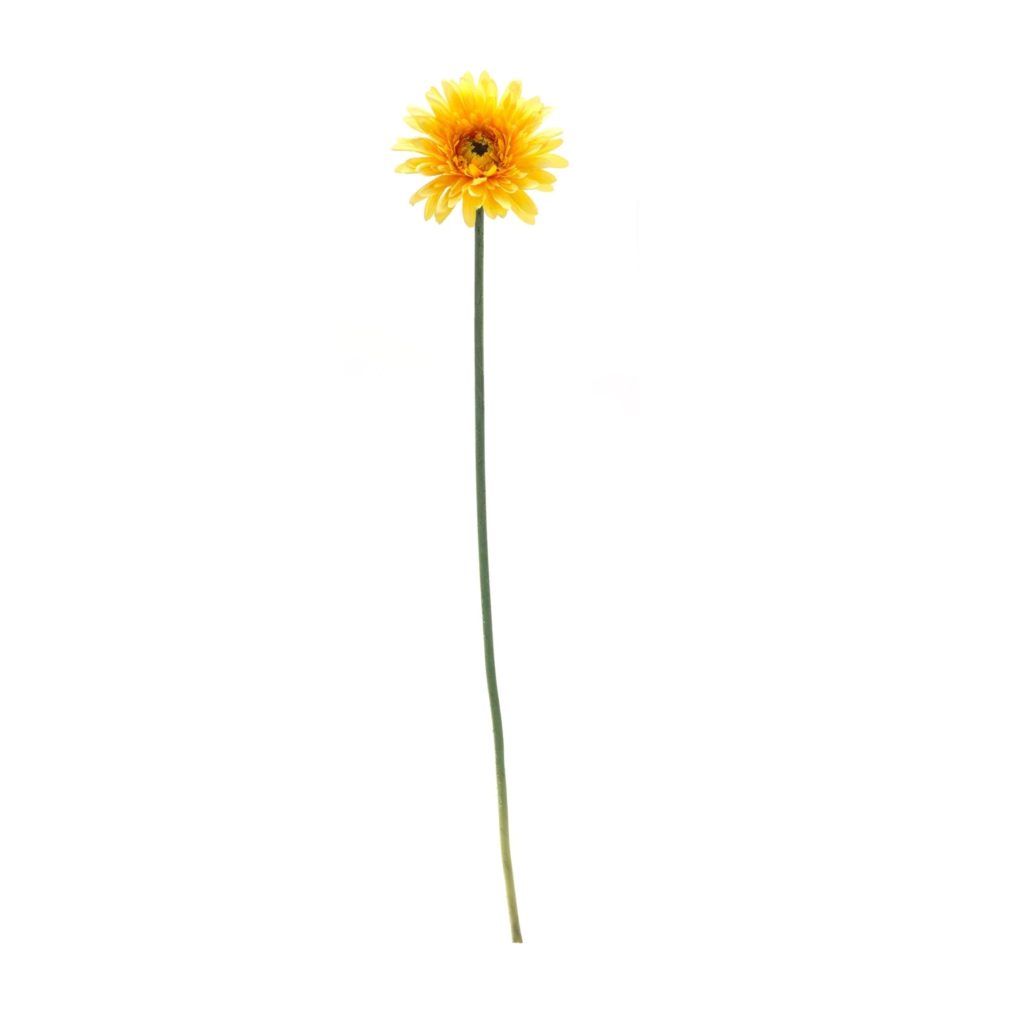 Gerbera daisy floral stem (set of 6) - Image 2