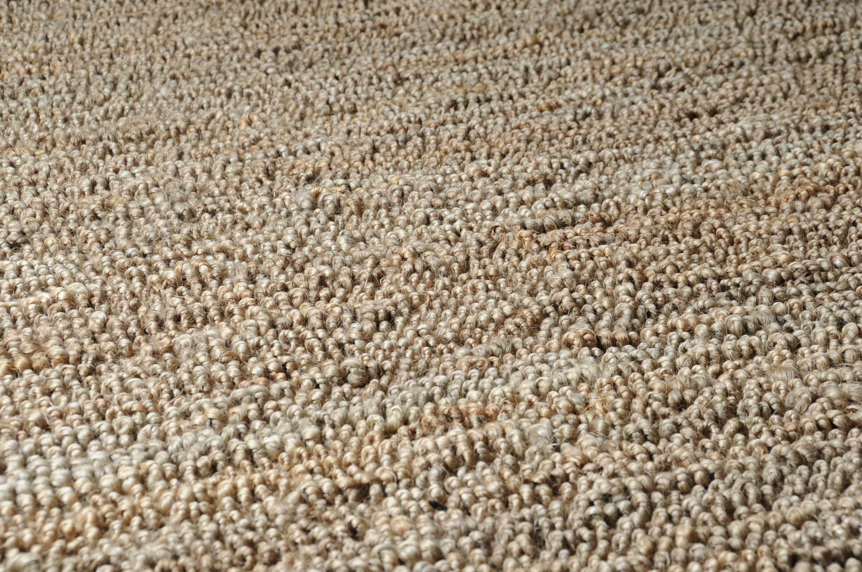 Glover Natural Braided Jute Carpet - Image 17