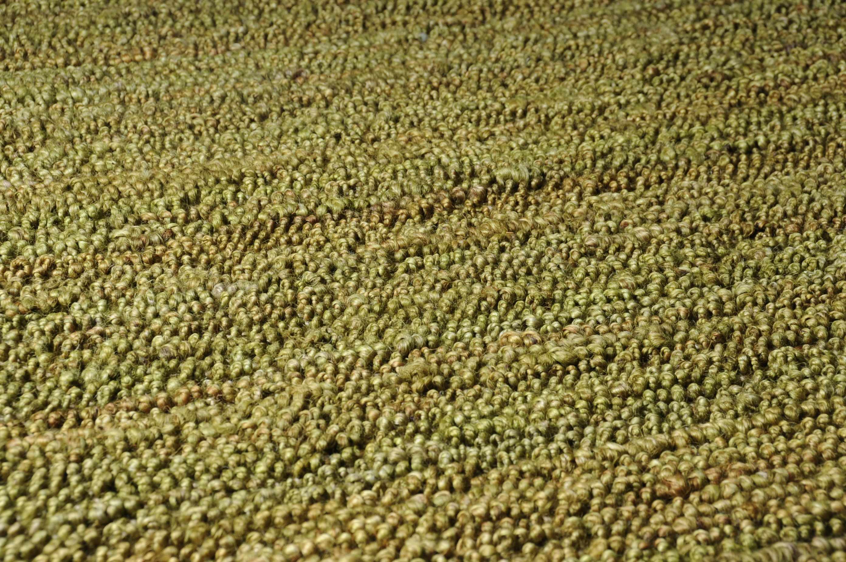 Glover Olive Braided Jute Carpet - Clearance - Image 9