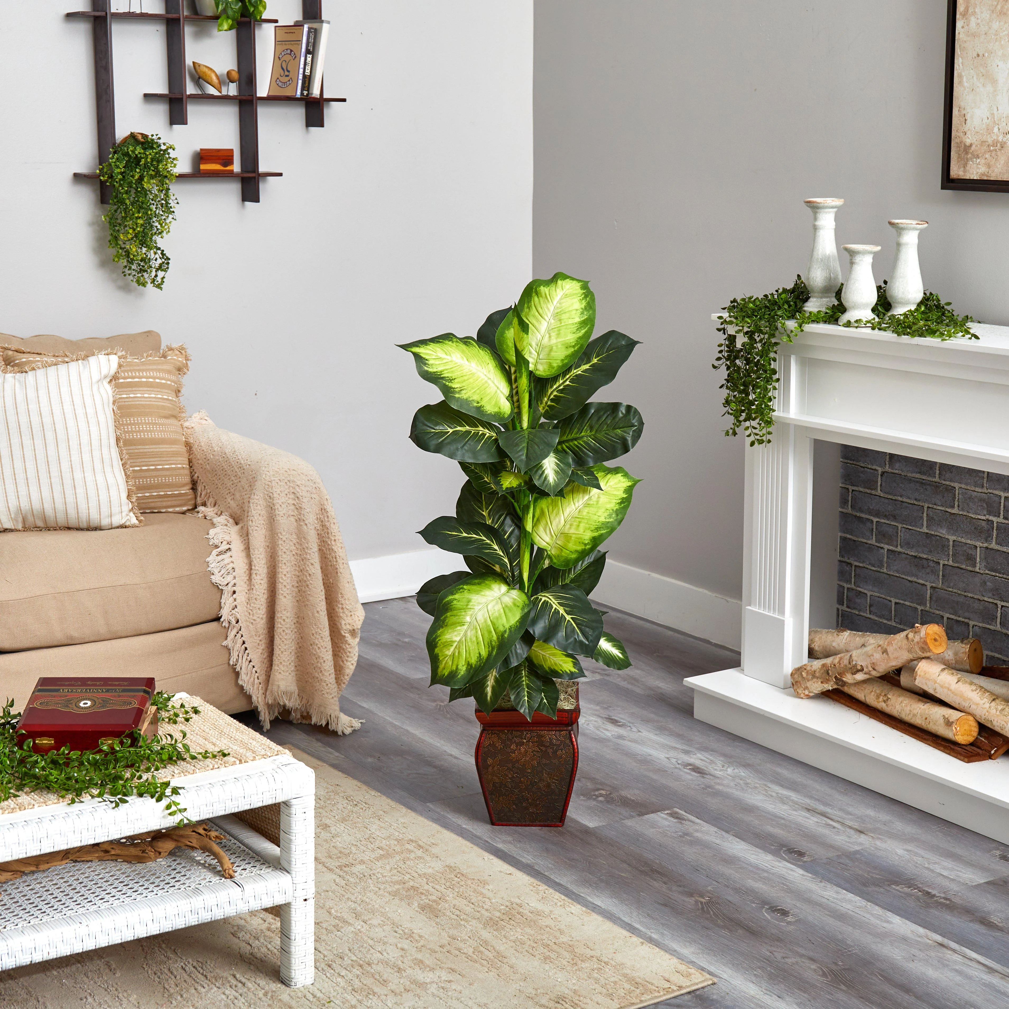 Golden Dieffenbachia w/Decorative Planter - Image 2