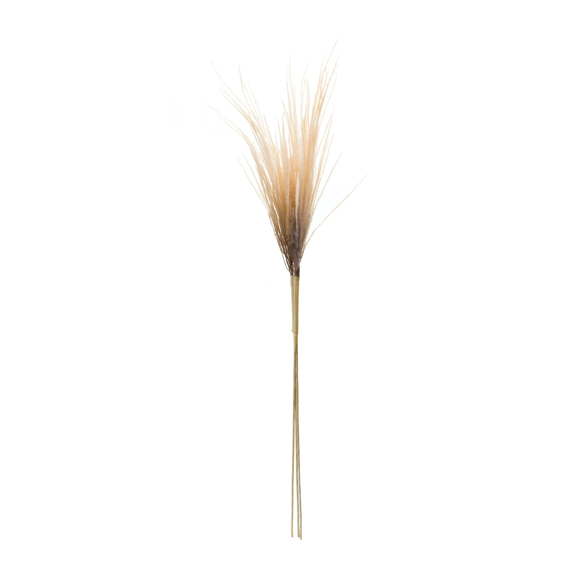 Grass Plume Bundle (Set of 2) - Image 2