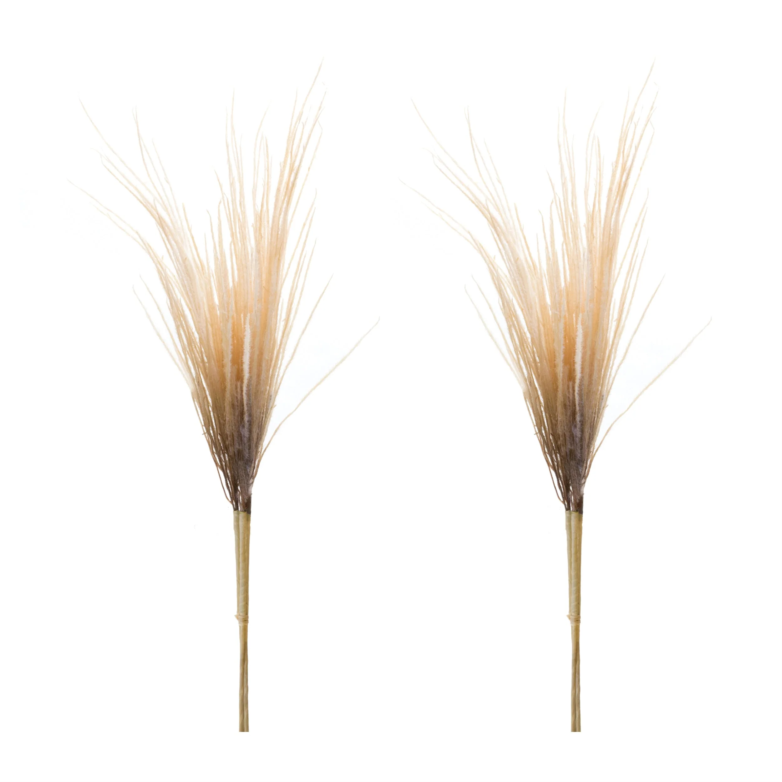 Grass Plume Bundle (Set of 2) - Image 3